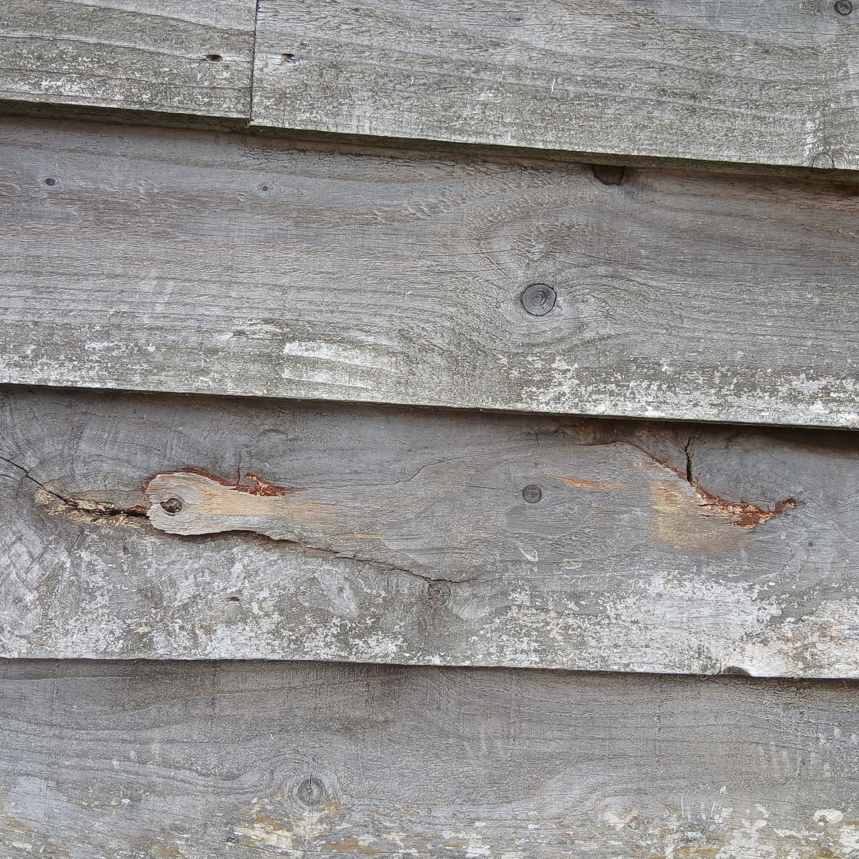 Is it just me or have I just taken a picture of a duck lying down or maybe an Avocet with the long curly beak!!
Its amazing what the eye can see in everyday objects and in nature its self such as faces in cloud formations and wooden fences!
Apparently this is called Pareidolia.
Pareidolia is a human tendency to perceive meaningful faces, patterns, or images in random objects.
Love it!
#pareidolia
#avocet
#duck
#woodenfence
