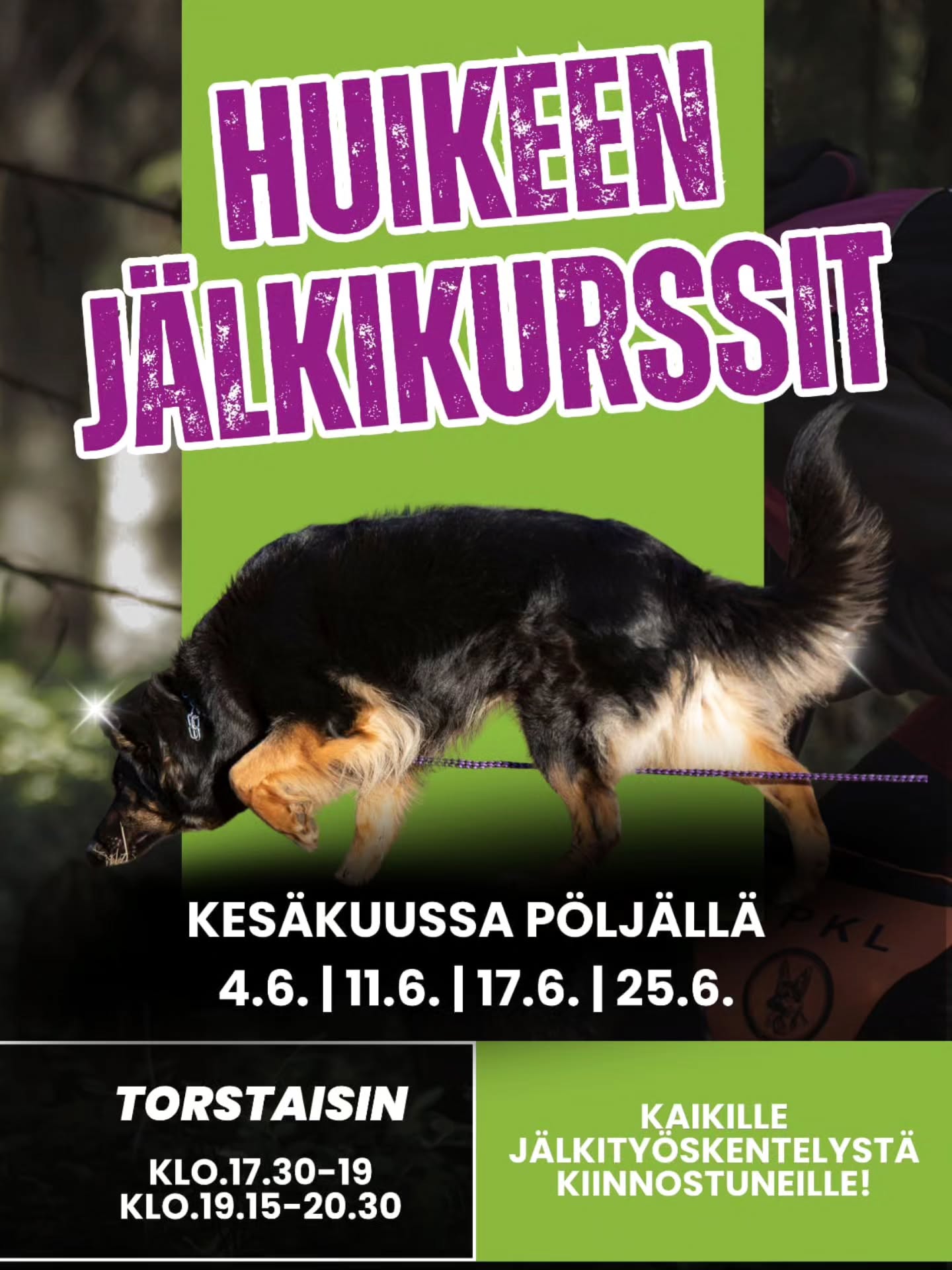 HuiKeen Metsäjälkikurssit starttaa kesäkuussa! 🌲
🌸 PK-Metsäjälki ryhmä1 4.6. alkaen TORSTAI klo.17.30-19
🌸 PK-Metsäjälki ryhmä2 4.6. alkaen TORSTAI klo.19.15-20.30
- juhannusviikolla treenit keskiviikkona
ILMOITTAUDU MUKAAN SUORAAN TÄÄLTÄ:
https://slotti.fi/booking/tottisstudiohuikeeoy/#/
✔️ Lisätietoja kurssista löytyy Slotin kautta! Slottiin pääset myös kotisivujemme kautta - www.tottisstudiohuikee.fi
Metsäjälkikurssi kaikille nenätyöskentelystä kiinnostuneille! Tältä kurssilta arjenaktivointia ja koiran lajityypillistä tekemistä, joka sopii jokaiselle koiralle. Tämä kurssi on avoin kaikille rodusta, iästä ja tavoitteista huolimatta. Kurssilla harjoitellaan seuraamaan ihmisen tekemää jälkeä metsässä.
Kurssilla opetetaan perusteita jälkityöskentelyyn joko ihan vaan aktivointi mielessä tai harrastustavoitteilla jokaisen tason ja tavoitteiden mukaan. Sopii täysin aloittelijoille ja lajiin tutustujille sekä alkeisiin metsäjäljestä kiinnostuneille.
Kurssi pidetään Siilinjärven Pöljällä. Osallistujille laitetaan tarkemmat ajo-ohjeet paikalle.
Tervetuloa mukaan huipun harrastuksen pariin 🐾🌲