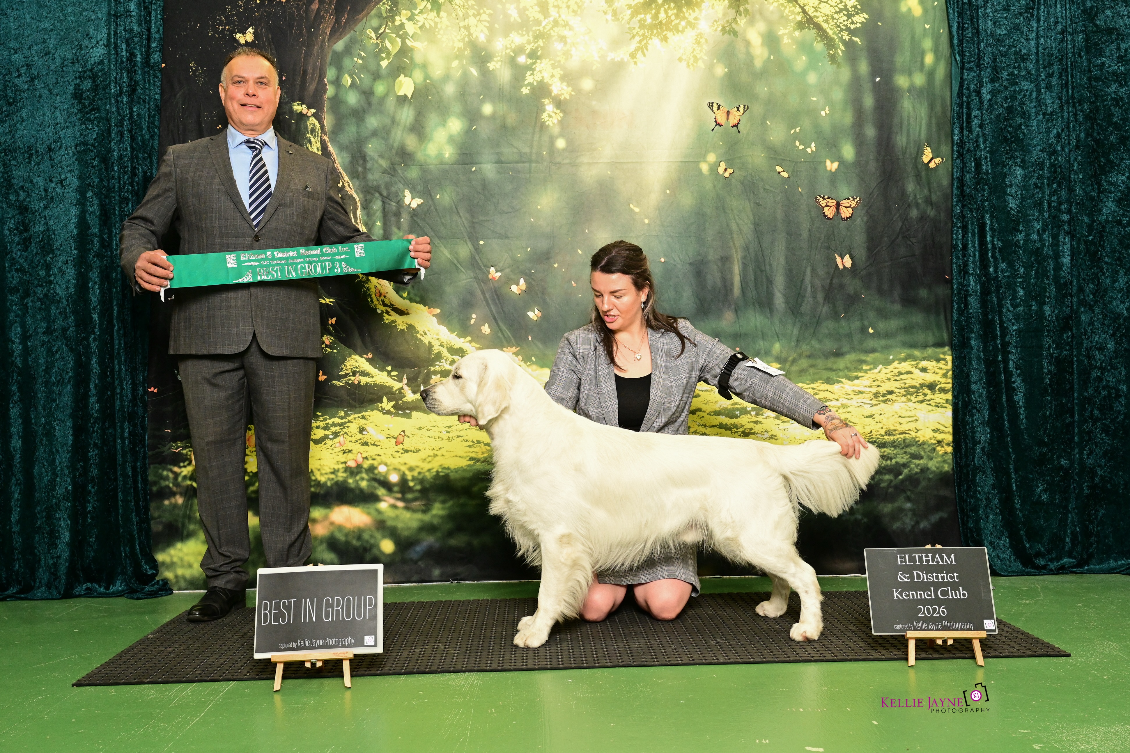 We had our first show weekend in awhile and took both Coda and Sparkles, these were her first shows
In the AM trainee judges open show, Coda was awarded BOB and ๐Best in Group๐ under judge Mr Hugh Vardon
Sparkles got baby of breed and was such a good girl for her first time in the ring. Itโs so nice to have a gentle judge for her first time.
Our PM show was the Eltham championship show, Coda was awarded RUBOB and Sparkles baby puppy bitch under judge Ms Pauline Grutzner ๐