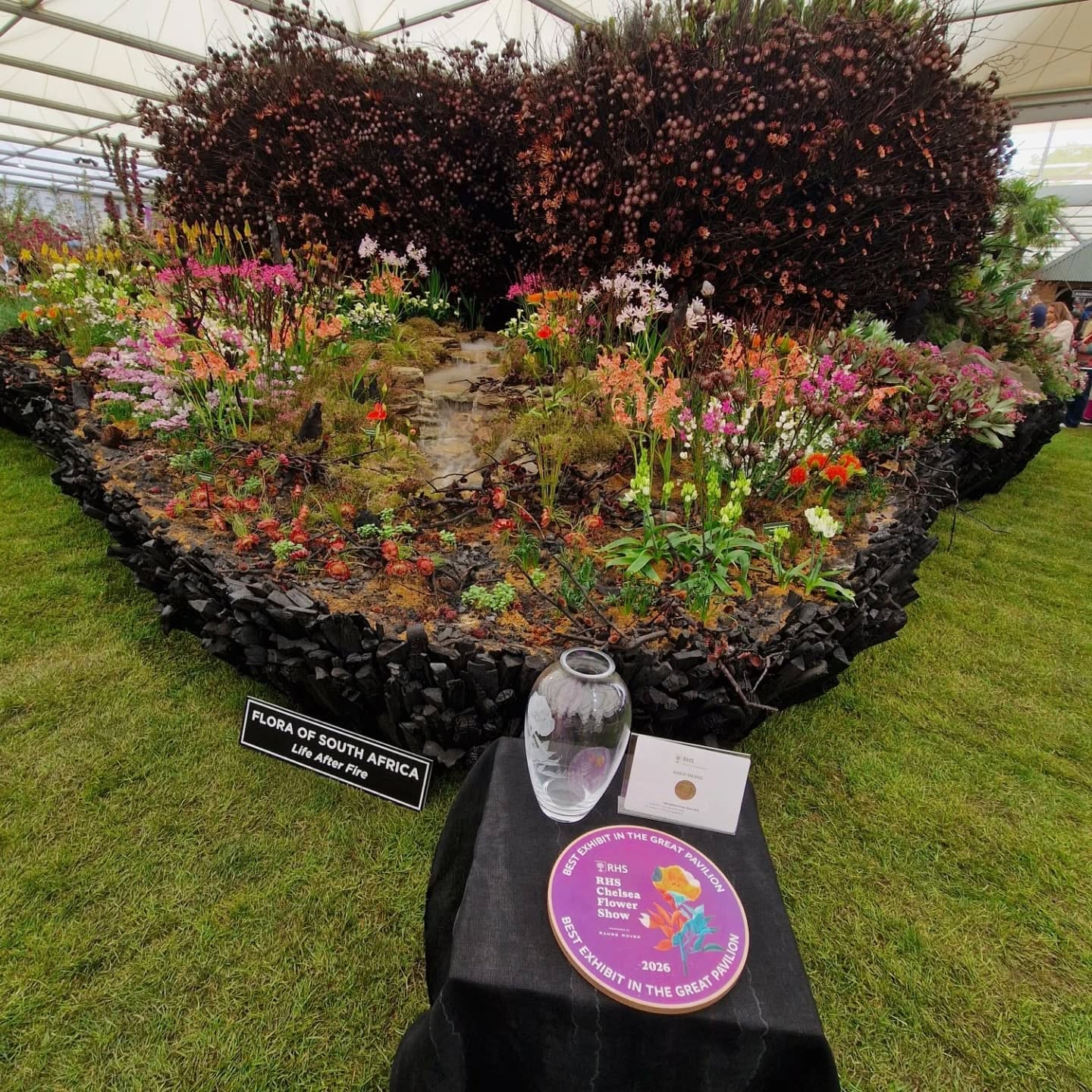 Congratulations to Leon Kluge and his team. Life After Fire earned a gold medal and Best in Show (pavilion) @ Chelsea Flower Show 2026.
Super proud to have helped...putting our pyrolosis skills to the test we supplied cooked hazel branches and half burned timbers for the structure as well as ash and charcoal for dressing the garden.
Truly spectacular! 🌼🌺🪻🏵🌹https://www.instagram.com/leonkluge?igsh=MTZ4anRvcmF4YnZqOA==