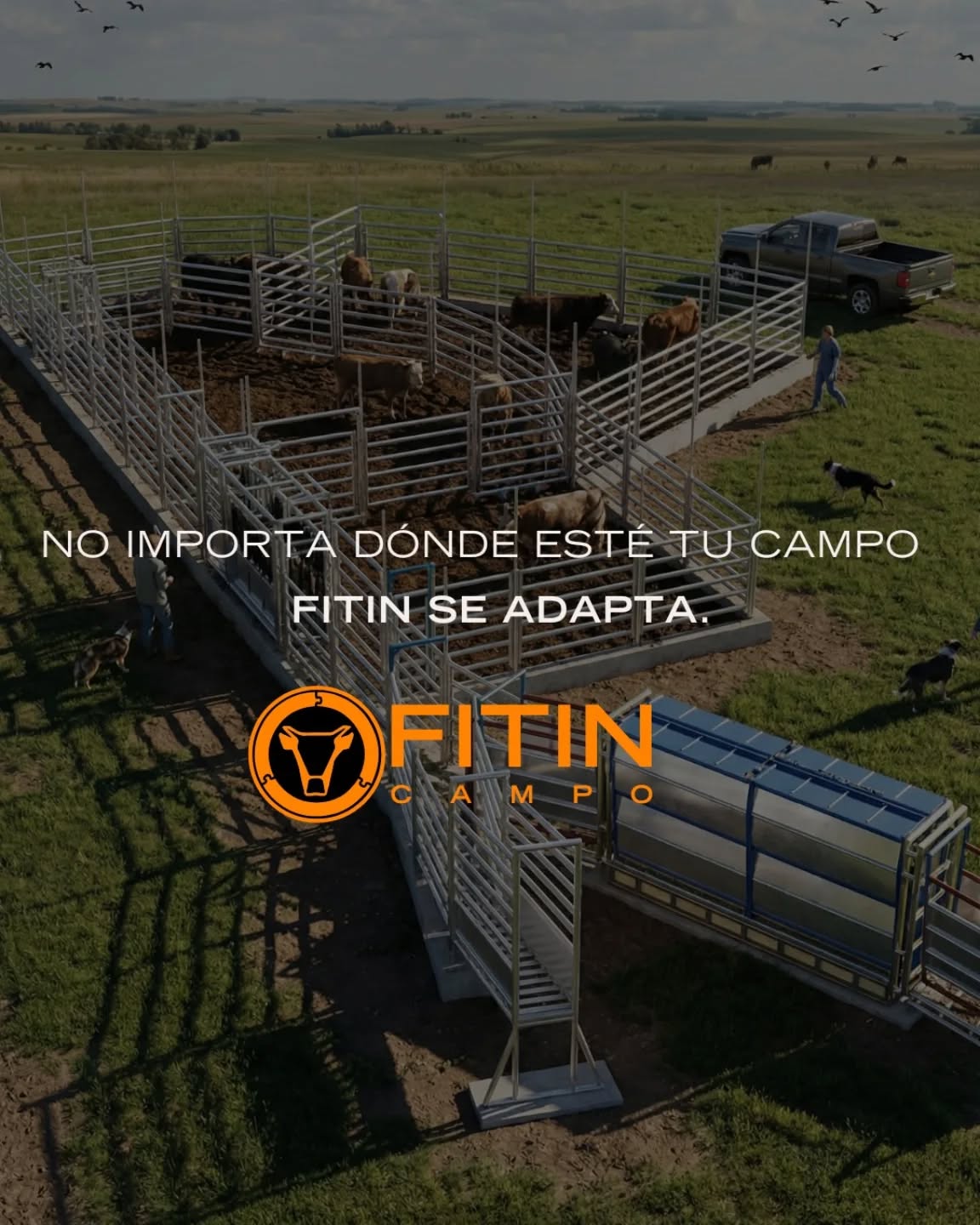 No hay dos campos iguales.
Cambian los manejos, los espacios y las necesidades de cada productor.
Por eso desarrollamos sistemas de corrales ensamblables que se adaptan al trabajo real del campo argentino.
Hoy FITIN sigue creciendo y llegando a cada vez más lugares del país, acompañando a productores con soluciones resistentes, prácticas y pensadas para durar.
📲 Consultanos y llevá FITIN a tu campo.