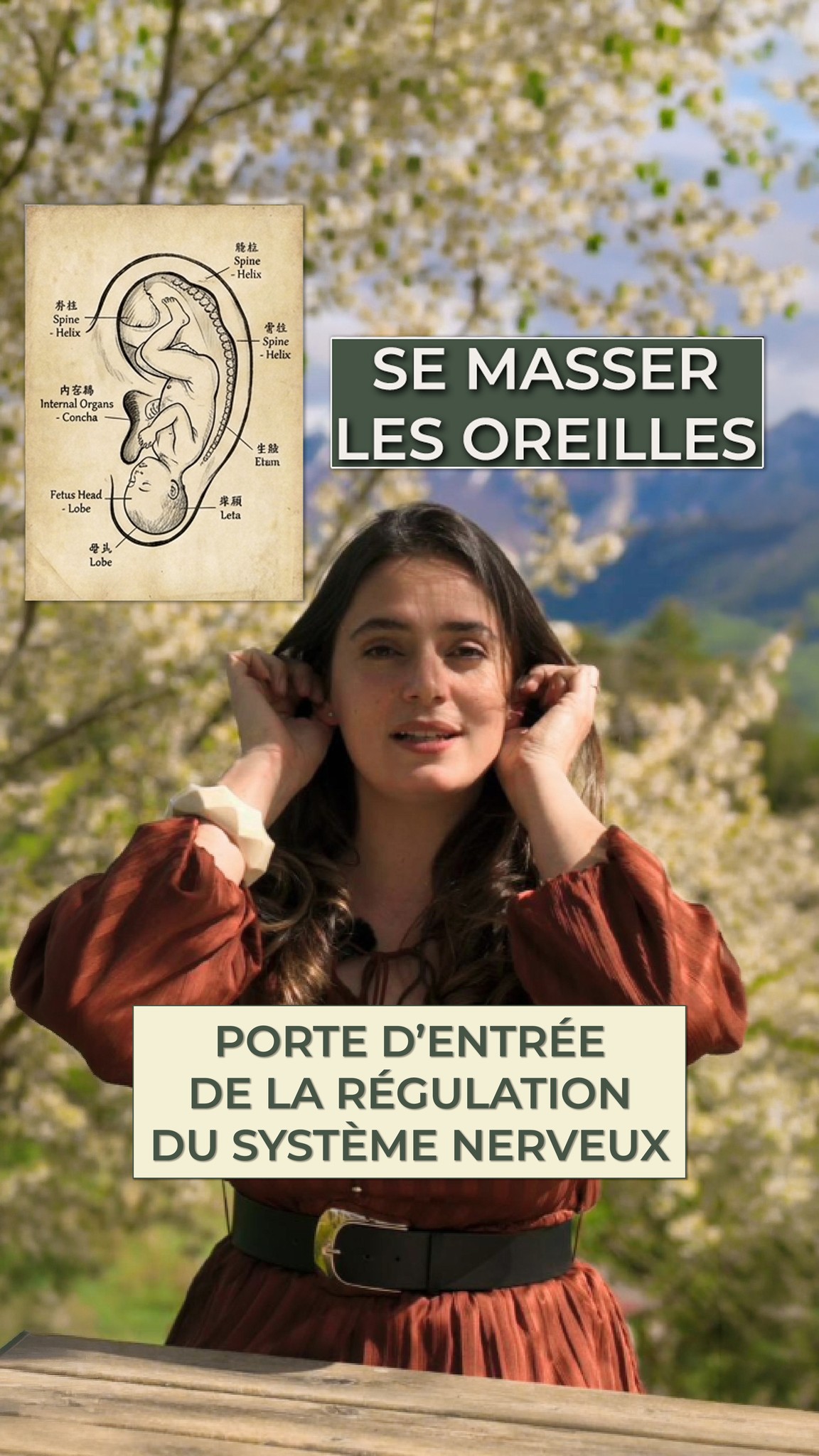Petit exercice: Masser les oreilles régule le système nerveux.
#bienêtre #SantéNaturelle #massage #tension #calme