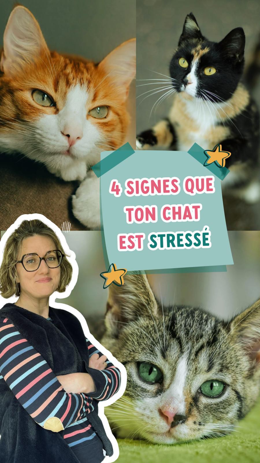 QUI TE DIT QUE ton chat a un comportement normal ?
Que c’est un chat et qu’on ne peut rien y faire ?
Que c’est « son » caractère et qu’il faut faire avec ?
Un chat stressé peut manifester son stress de différentes manières et il est important d’être à l’écoute 😊
Certains comportements qu’on pense « normaux » (comme manger trop vite ou mordre pendant des caresses…) peuvent cacher un chat qui ne va pas bien.
Alors partage à une amie dont le chat présente l’un de ces comportements ! Son chat peut être aidé par un Comportementaliste félin, et elle te remerciera !
#bienetrechat #catlover #passionchat #catmom #chatstressé