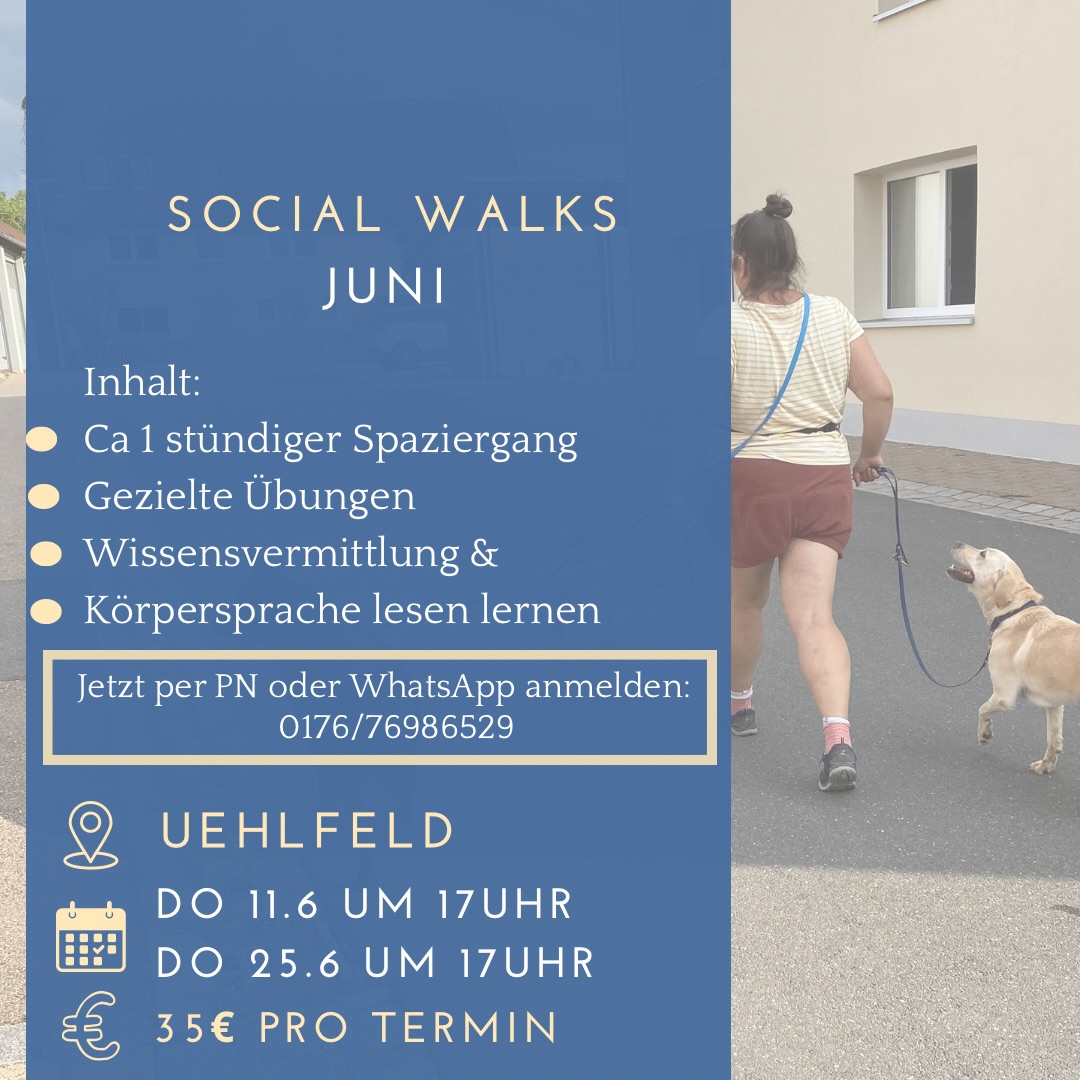 Im Juni gibt es wieder neue Socialwalktermine in Uehlfeld!
Dabei handelt es sich um einen von einer Trainerin geführten Spaziergang an der Leine.
Lerninhalte sind:
✅Deeskalierendes Verhalten
✅Umgang mit Frontalbegegnungen
✅Körpersprache beobachten und richtig interpretieren
💡Ideal für Hunde die gegenüber anderen Hunden Bellverhalten, Aggressionsverhalten, Frust, erhöhte Erregung oder Unsicherheiten zeigen.
Wir gehen individuell auf das gezeigte Verhalten der Hunde ein und bauen immer wieder Übungen in den Spaziergang mit ein.
➡️Anmeldung gerne per PN oder WhatsApp!
#hundetraininguehlfeld #uehlfeld #aischtal