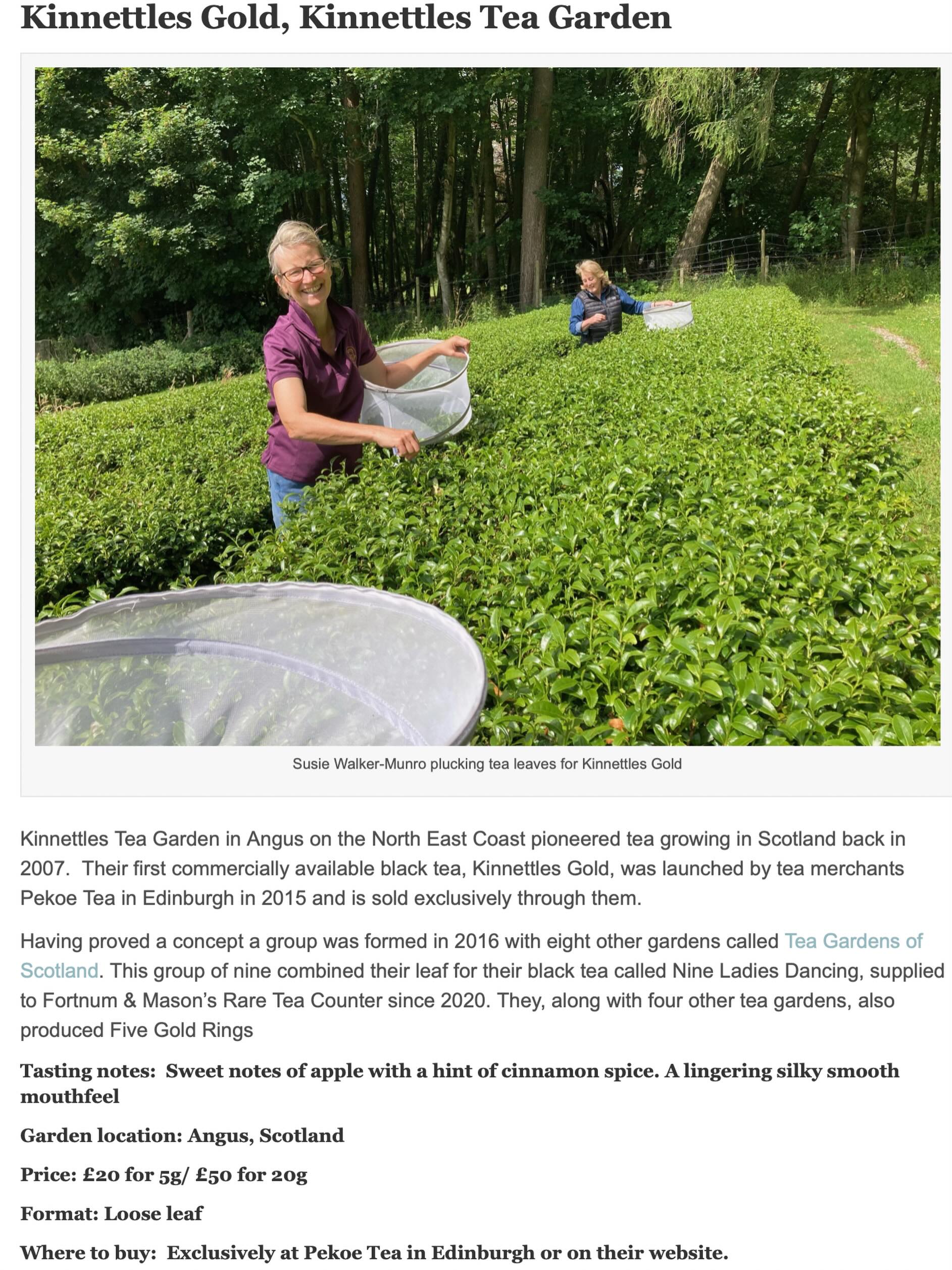 In recognition of International Tea Day the Scottish Field has drawn attention to 6 teas made in Scotland available to buy on line and we are there on it! It is great when the hard work that goes into producing artisan tea is recognised. Thank you to @scottishfieldmag for highlighting Scottish grown tea and now you all know where to get your looseleaf delicious artisan tea from!
🌱
🌱
🌱
#internationalteaday #scottishfield #artisan #tea #scottishgrowntea