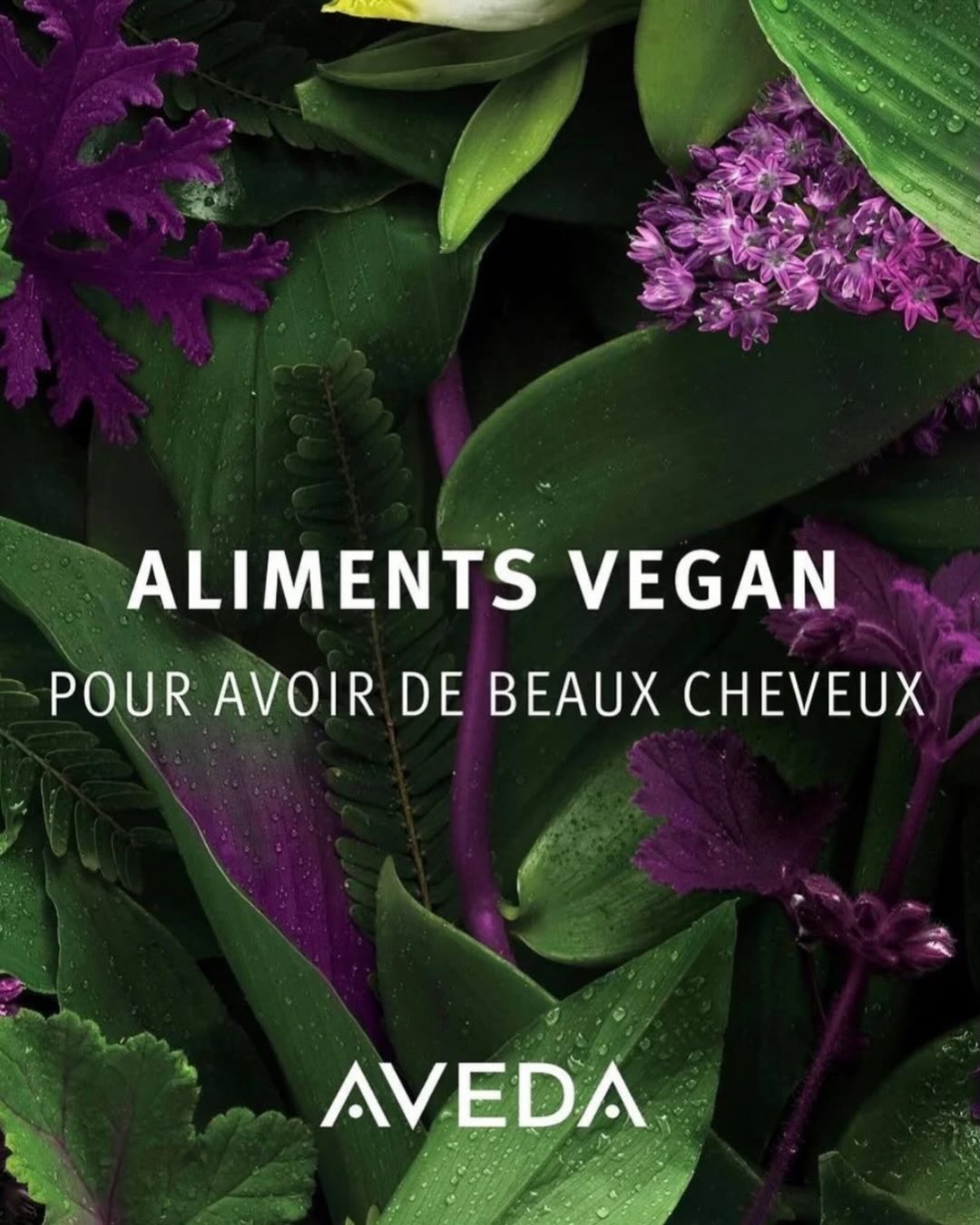 DE BEAUX CHEVEUX, ÇA COMMENCE DANS L’ASSIETTE 💚
Swipe pour découvrir 👉
Chez Aveda, on croit en une beauté holistique.
Tes cheveux, c’est pas juste ce que tu mets dessus.
C’est aussi ce que tu nourris de l’intérieur.
Cheveux secs ?
Manque d’éclat ?
Cuir chevelu irrité ?
Pousse lente ?
Certains aliments peuvent t’aider.
→ Zinc, fer, vitamine B
→ Adaptogènes
→ Aliments 100% vegan
Swipe pour savoir quoi manger
selon ton besoin capillaire.
Parce que la beauté,
ça se cultive de l’intérieur 🌿
Et bien sûr,
on complète avec les bons soins au salon 💛
Aveda. Beauté holistique.
De la racine à la pointe.
De l’intérieur à l’extérieur.
nutrition cheveux alimentation saine beauté holistique Aveda L’Atelier de Maud Toulouse vegan santé capillaire