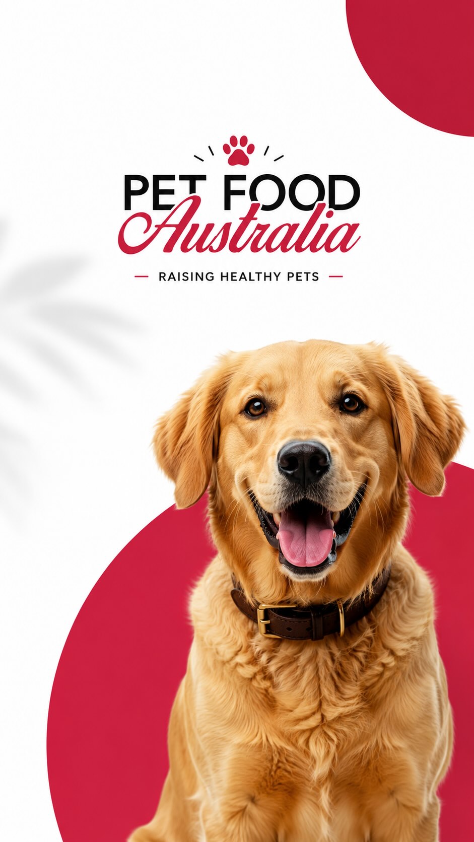 Healthy skin.
Shiny coat.
Happy tails. 🐾
Made with premium Australian ingredients and enriched with Hemp Seed Oil for everyday wellbeing.
Because every pet deserves to feel their best.
Now available in the UAE 🇦🇪
Shop online at Noon.com
Link in Bio.
#PetFoodAustralia #DogFood #CatFood #DogNutrition #PremiumDogFood HempSeedOil