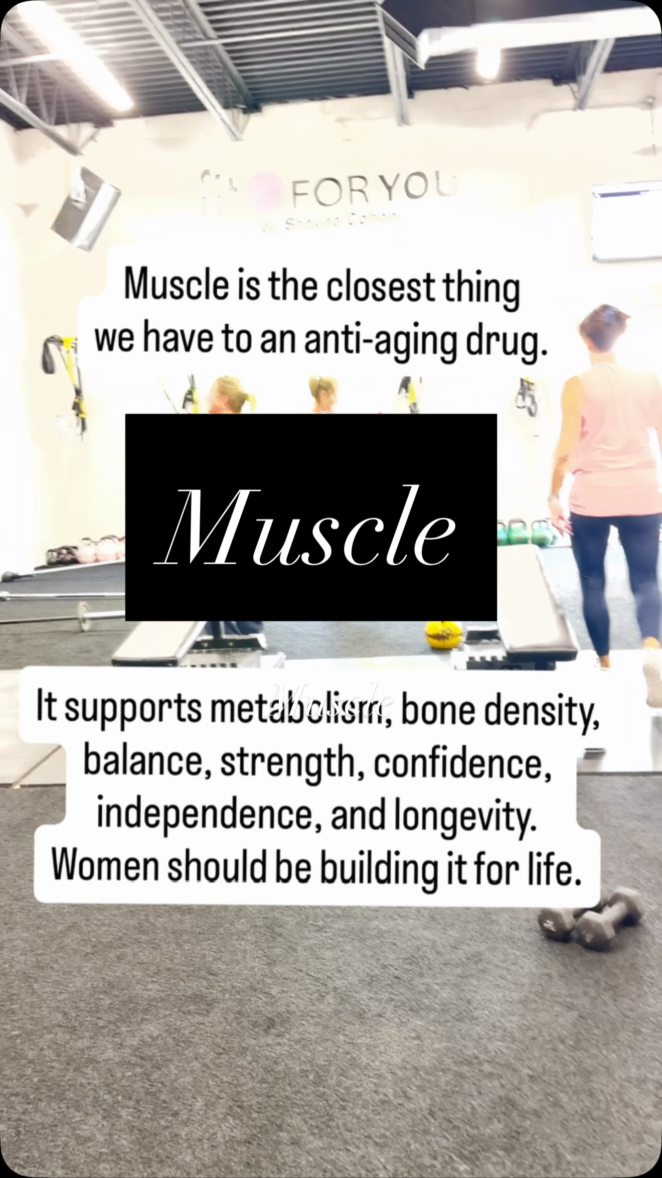 For almost my entire life, I tried to weigh less. A few years ago I rebuilt my entire believe system.
Now I spend my time trying to stay strong.
At Fit For You, we help women build muscle, strength, confidence, and longevity through coached small-group strength training designed for all fitness levels. Request a free trial class through the link in bio or message us! @fitforyou.ct @shayna.leigh.cohen #womensonlygym #strongwomen #strengthtraining #reformerpilates #avonct