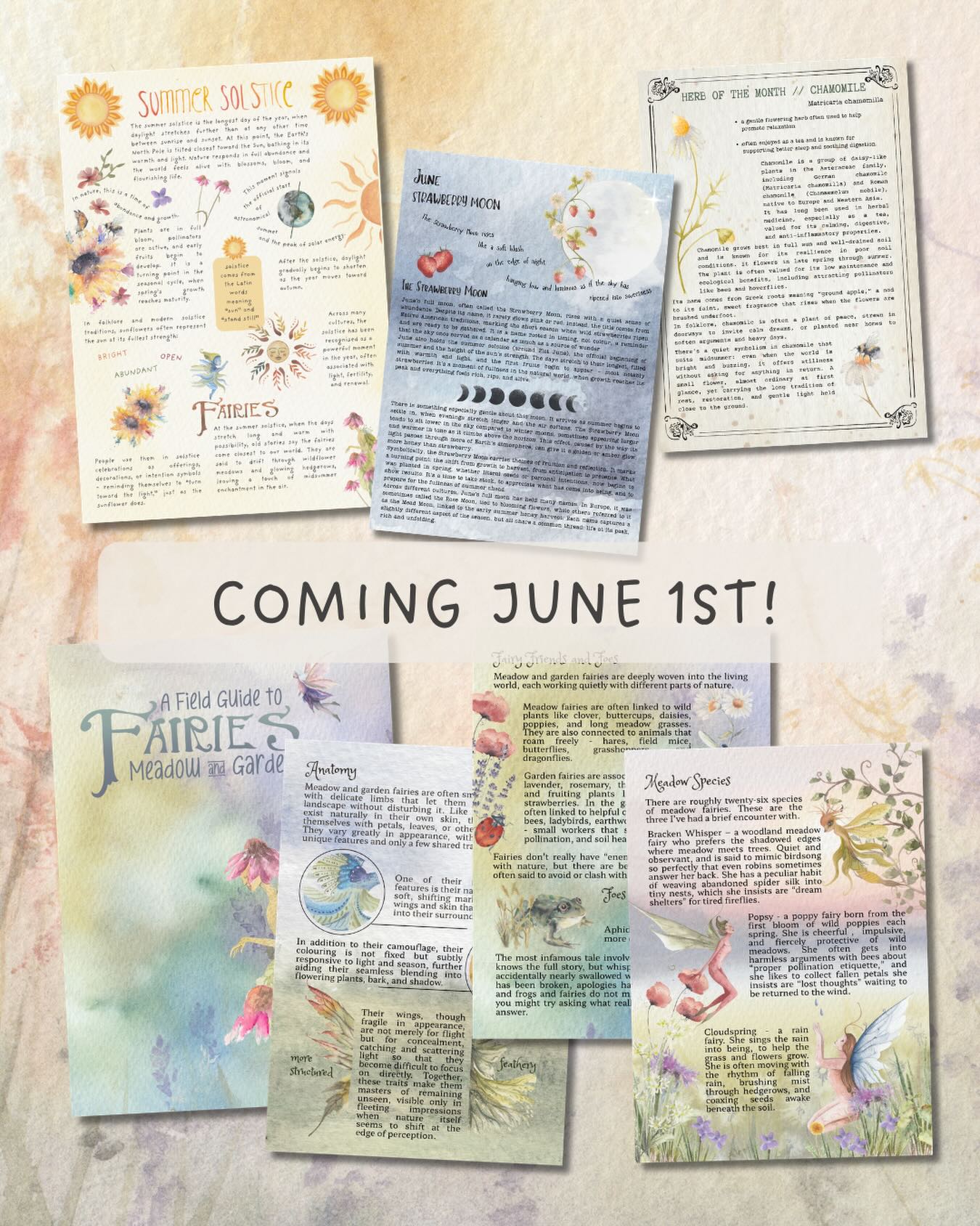 What’s coming to Patreon on June 1st? ✨ Here’s the full guide…
• A Field Guide to Meadow & Garden Fairies - a mini 10 page booklet.
• Two Watercolour Painting Videos
• World Environment Day – 5 June
• World Oceans Day – 8 June
• Herb of the Month – Chamomile
• Summer Solstice poster and activities
• Junes Full Moon - the Strawberry Moon
.
If you’re interested in joining, click the link in my bio #patreoncreator #fairyresources #summersolstice #rhythmsoftheearth