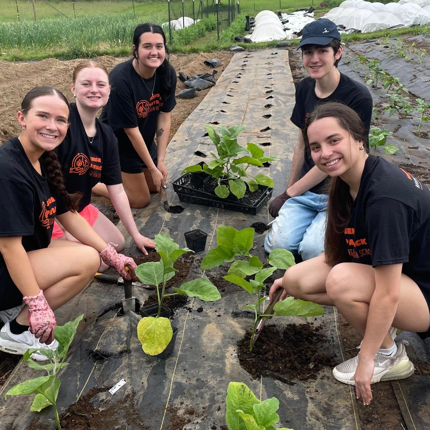 We were happy to once again be a job site for GHS's Senior Payback Day! This crew got a lot done in a short time: planting, weeding, mulching, trellising, and continuing the big project that is the ground hog fence. Thanks to those who participated and good luck with whatever comes next!! ππ