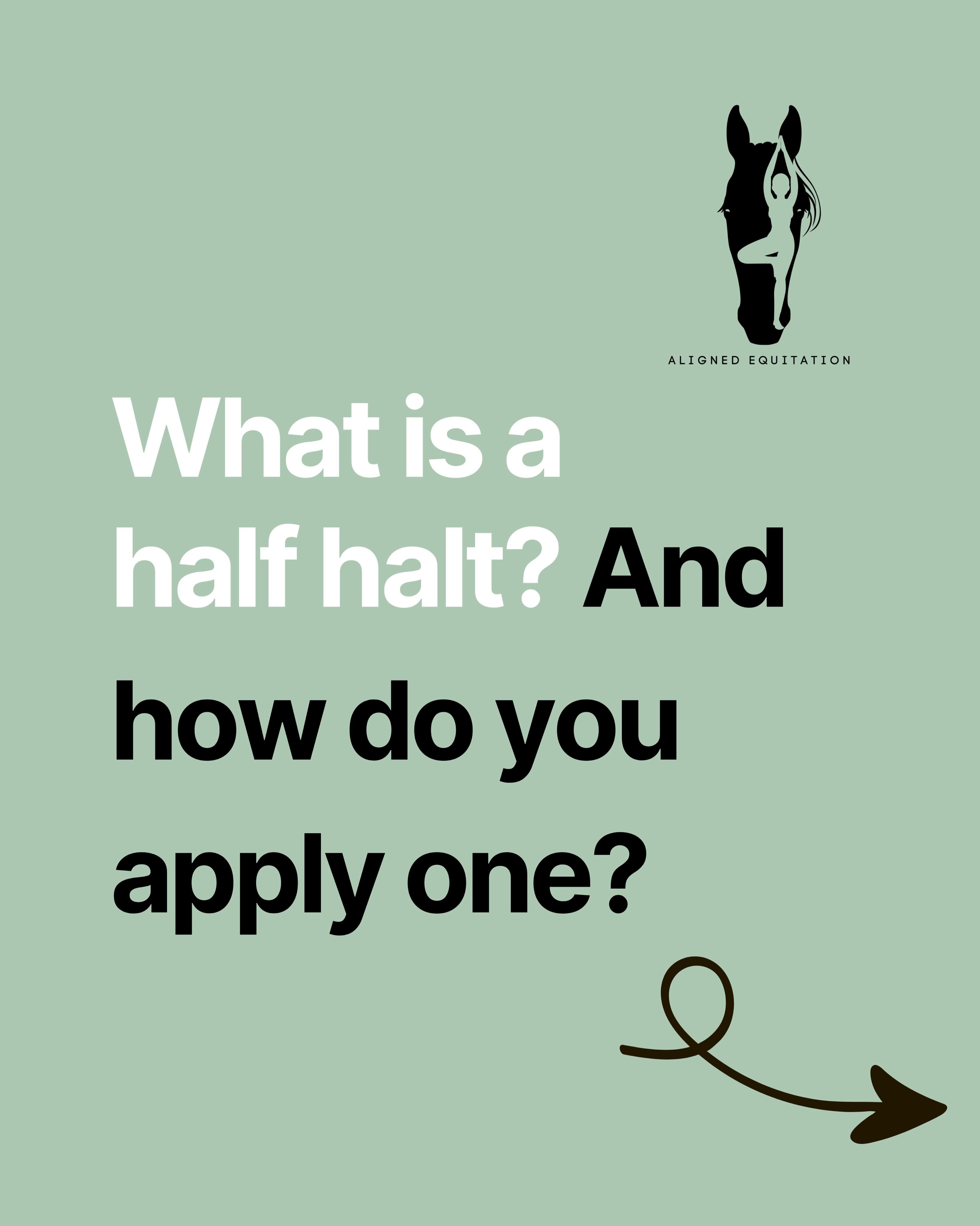 A question that quietly swims around in riders brains and no-one dares to ask!! What is a half halt? And how do I ride a half halt? And why do I need a half halt?
Here’s a little something to help you if that’s you….