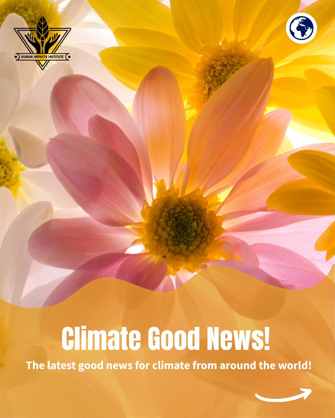 Check out this Climate Good News! 📰 🌸
1. College Students Launch Initiative to Stop Herbicide Use Across Campuses: Two students at UC Berkeley launch a non-profit called Re:wild Your Campus, providing college students with the resources to transform campuses into biodiverse spaces for pollinators
2. First Conference for the Just Transition Away from Fossil Fuels: Fifty-seven countries gathered in Santa Marta, Colombia, for the first conference focused on transitioning away from fossil fuels, discussing practical alternatives to coal, oil, and gas.
3. Climate Protest Crackdowns May Backfire: A study of 1,300 climate activists found that arrests, fines, and prison sentences may strengthen protesters’ determination instead of discouraging disruptive climate demonstrations.
4. New Nature Library Opening In Colorado: A new Anythink Library will open this August, offering an environmentally friendly design with geothermal energy and more than 300 solar panels to generate electricity.
#ClimateGoodNews #SustainableCampuses #PollinatorProtection #FossilFuelFree #ClimateActivism #GreenLibraries