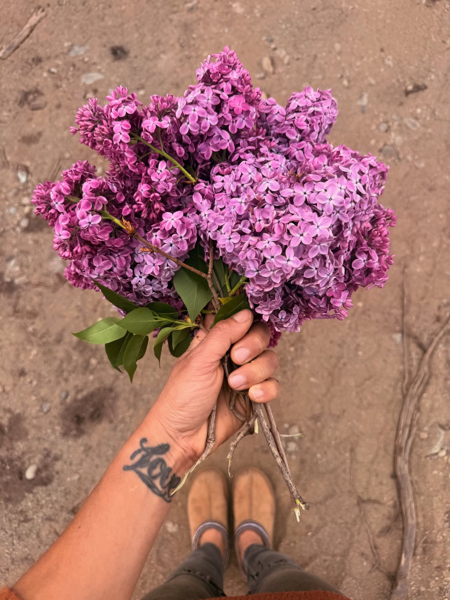 Springtime POV. Foraging, harvesting, playing with food and dirt, river dips, art, climbing, and bikes.