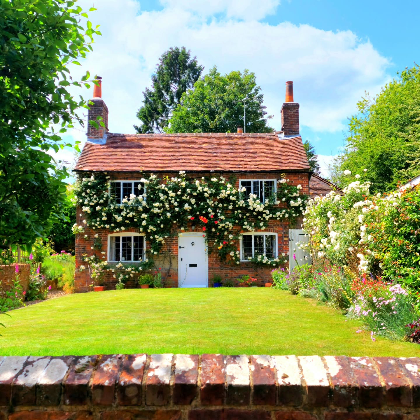 Quale è il periodo migliore per visitare la meravigliosa campagna inglese? 🤔
Spesso mi viene fatta questa domanda. La mia risposta è sempre la stessa: i mesi di maggio e giugno perchè in questo periodo l’Inghilterra diventa un giardino incantato.
Si parte con i daffodils che illuminano i prati, poi arrivano i tulipani con i loro magnifici colori, i tappeti blu dei bluebells, e quel profumo dolce e nostalgico del glicine che avvolge i cottage come un abbraccio.
Poi è il turno degli iris, delle peonie, degli allium, della clematis..e infine arrivano loro: le rose.
Le regine indiscusse dei villaggi, quelle che trasformano ogni porta, ogni finestra, ogni muro di pietra in un luogo dove vorresti trasferirti all’istante.
È questo il periodo in cui la campagna inglese non si visita soltanto: si sente, si respira, si vive.
E tu, hai un fiore che ti fa innamorare ogni volta della bella stagione inglese 🌞🌿💗?
#passionecampagnainglese #roses #flowers #loveengland #countrylife villagelife