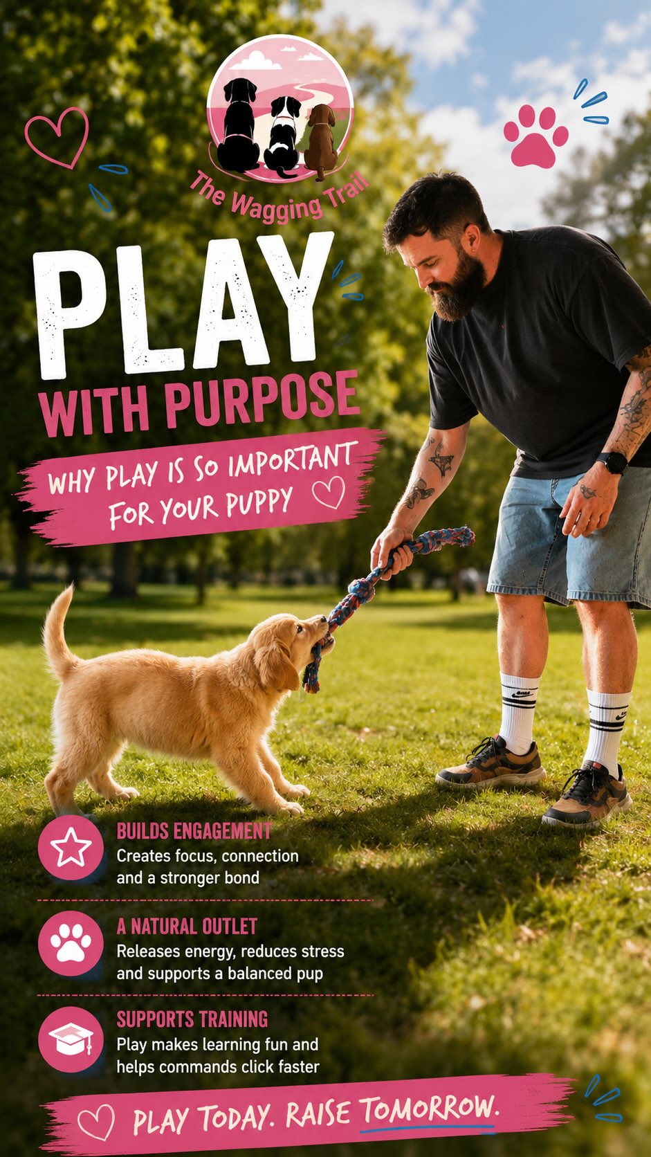 🐾 PLAY WITH PURPOSE 🐾
One of the biggest mistakes people make with nervous or anxious puppies is focusing only on obedience…
But confidence is built through PLAY 💙
Play is so much more than just “having fun” — it’s one of the most powerful tools we can use to:
✔️ Build engagement
✔️ Create trust
✔️ Develop confidence
✔️ Fulfil natural instincts
✔️ Improve focus in training
✔️ Provide healthy outlets for energy
With puppies especially, play helps create a stronger relationship between dog and owner while making learning feel rewarding and exciting 🙌
For breeds like Golden Retrievers, Spaniels and working dogs, having appropriate outlets is essential for creating calm, balanced dogs.
When dogs are fulfilled properly, training becomes easier because their needs are being met first 🌿
In this session we’re using purposeful play to build confidence, engagement and communication in a positive, structured way 🐶
📍Dog training in Chalfont St Peter
📍Covering Chalfont St Giles, Gerrards Cross, Beaconsfield, Amersham & surrounding areas
📩 DM us to find out more about our puppy training and behaviour sessions.
#dogtraining #puppytraining #dogtrainer #chalfontstpeter