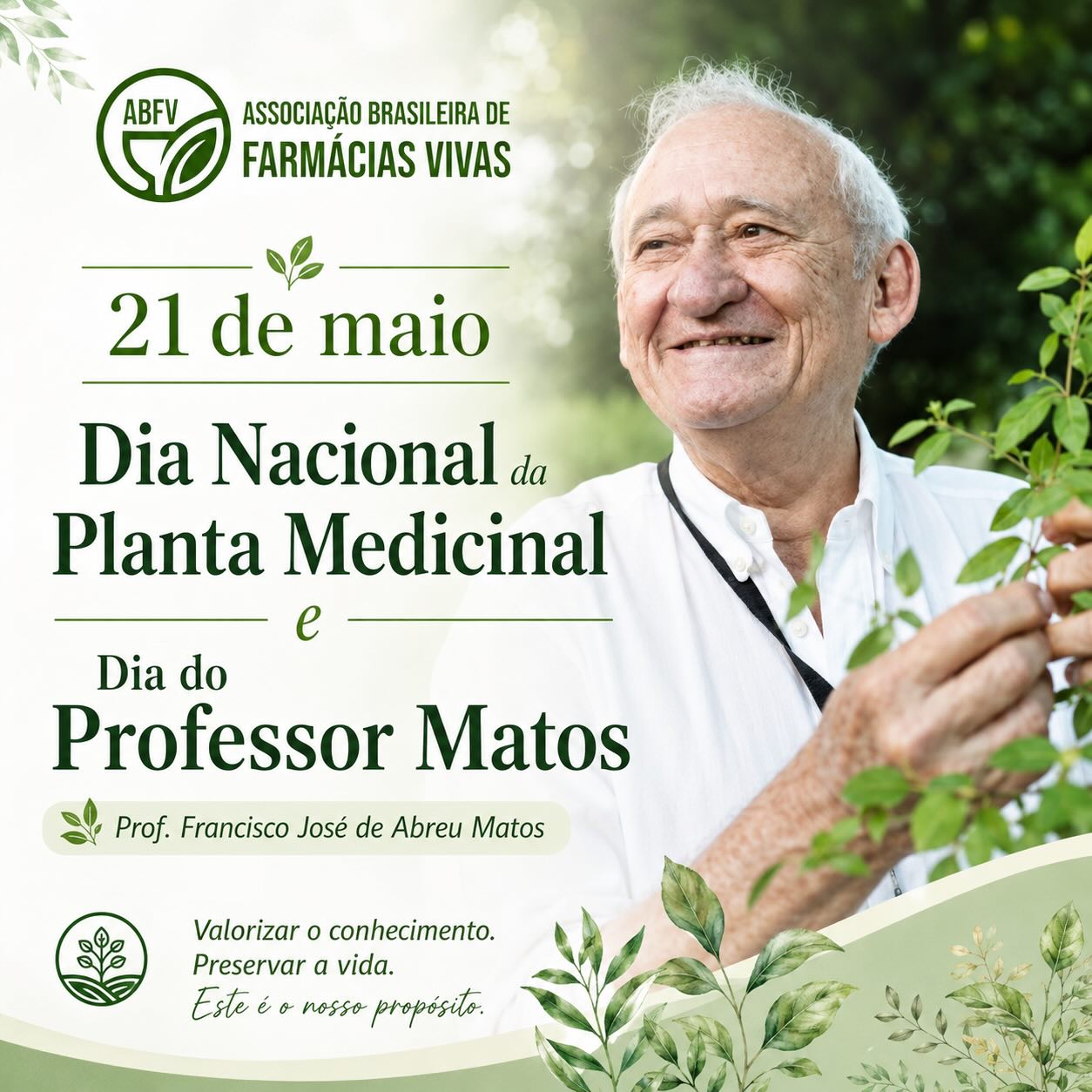 🌿 Dia Nacional da Planta Medicinal
Neste dia, celebramos as plantas medicinais como expressão de cuidado, cultura, biodiversidade, ciência e saúde pública.
A data também nos convida a reconhecer o legado do Professor Francisco José de Abreu Matos, farmacêutico, pesquisador e professor da Universidade Federal do Ceará, idealizador do Programa Farmácias Vivas, criado em 1983 com base no uso popular aliado ao saber científico de plantas medicinais e fitoterápicos.
O Prof. Matos dedicou sua trajetória ao estudo das plantas medicinais e à construção de pontes entre o saber popular, a pesquisa científica e o acesso seguro à fitoterapia pela população. O dia 21 de maio foi escolhido em referência à sua data de nascimento, como forma de homenagear sua contribuição à área das plantas medicinais no Brasil.
Para a Associação Brasileira de Farmácias Vivas, esta data reafirma uma causa: fortalecer as Farmácias Vivas como política pública, com qualidade, segurança, respeito aos territórios, valorização dos saberes tradicionais e compromisso com o SUS.
🌱 Planta medicinal é patrimônio, conhecimento e cuidado.
🌿 Viva o legado do Professor Matos.
💚 Viva as Farmácias Vivas.
#DiaNacionalDaPlantaMedicinal
#FarmáciasVivas
#ABFV
#FitoterapiaNoSUS
#PlantasMedicinais