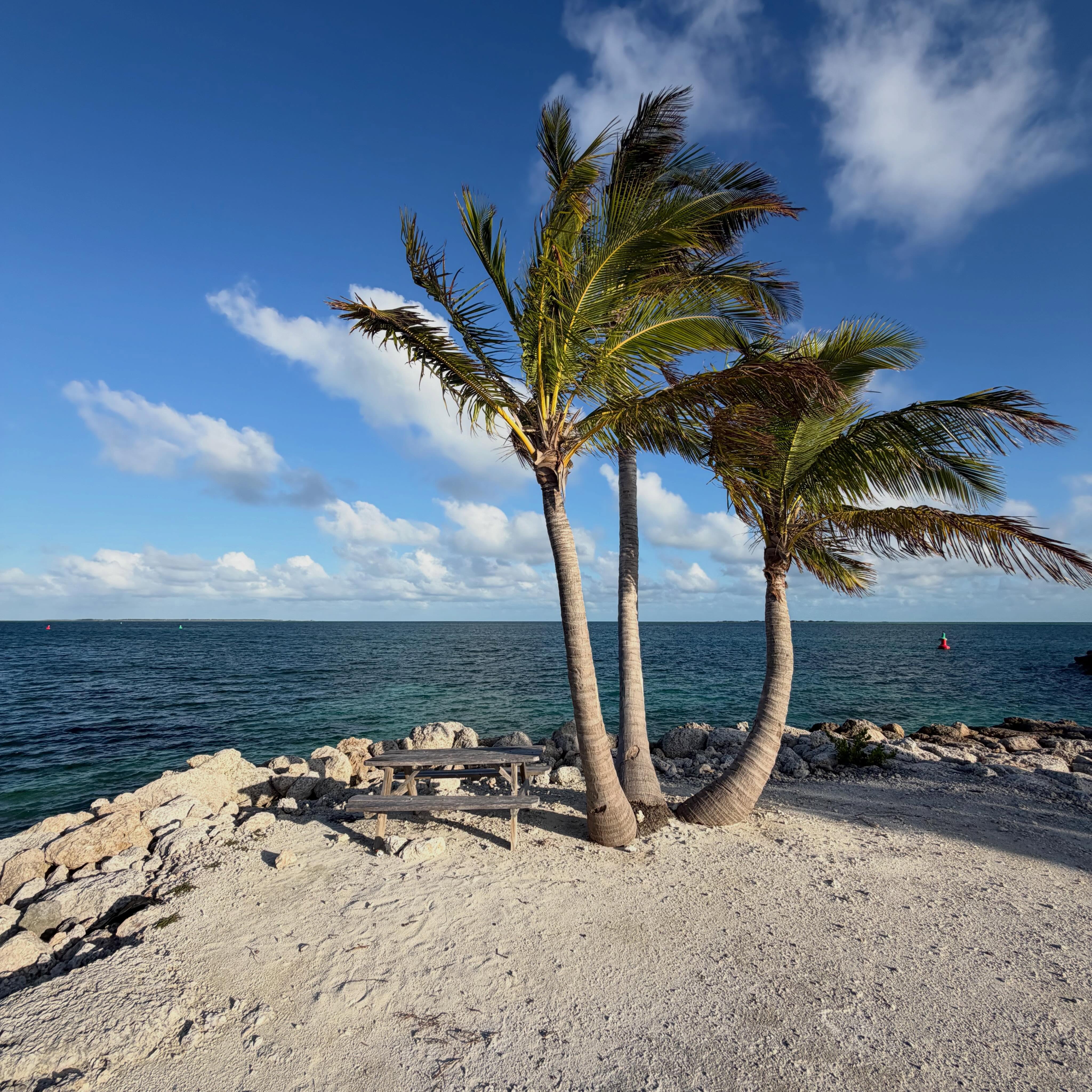 #SaltwaterEuphoria @walkerscaybahamas