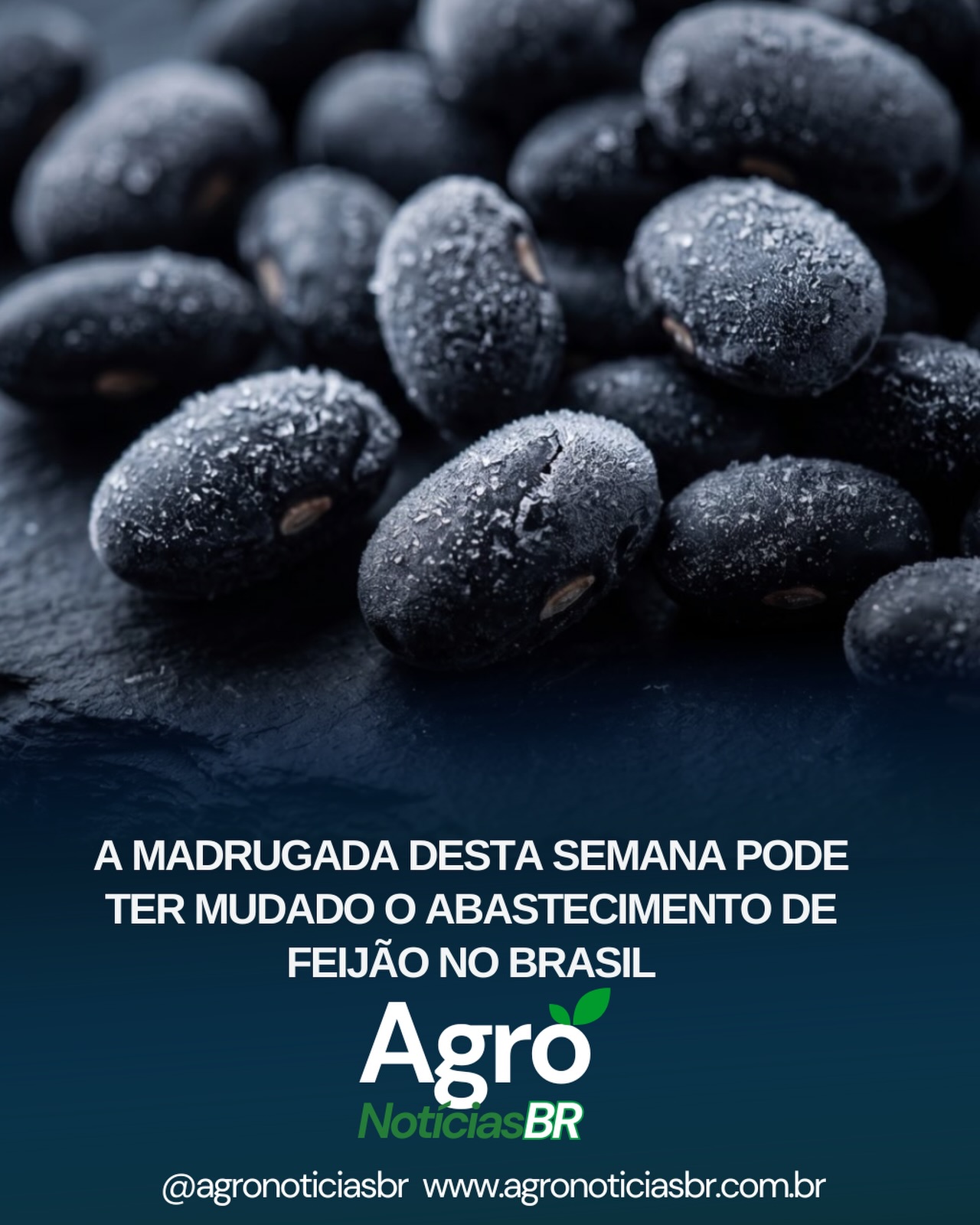 A geada registrada no Paraná atingiu lavouras de feijão-preto justamente em uma fase decisiva da safra. O problema é que o setor já vinha enfrentando perdas causadas por excesso de umidade, atraso na colheita e queda de qualidade dos grãos.
Agora, o mercado entrou em alerta.
Segundo o IBRAFE, as perdas no feijão-preto podem chegar entre 40% e 50% em algumas regiões produtoras. O Paraná, principal referência nacional da cultura, pode não conseguir suprir toda a demanda interna no segundo semestre.
Com isso:
• os preços já começaram a disparar;
• indústrias e empacotadores seguram compras;
• e o Brasil pode precisar aumentar as importações de feijão-preto nos próximos meses.
Dados recentes mostram o feijão-preto subindo mais de 21% apenas em maio no Paraná, enquanto algumas regiões já registram sacas saindo de R$160 para perto de R$200 em poucos dias.
O frio virou o “tiro de misericórdia” em uma safra que já estava fragilizada.
Fontes: IBRAFE, Cepea/CNA, Jornal O Paraná e Globo Rural.
:
Fontes consultadas: