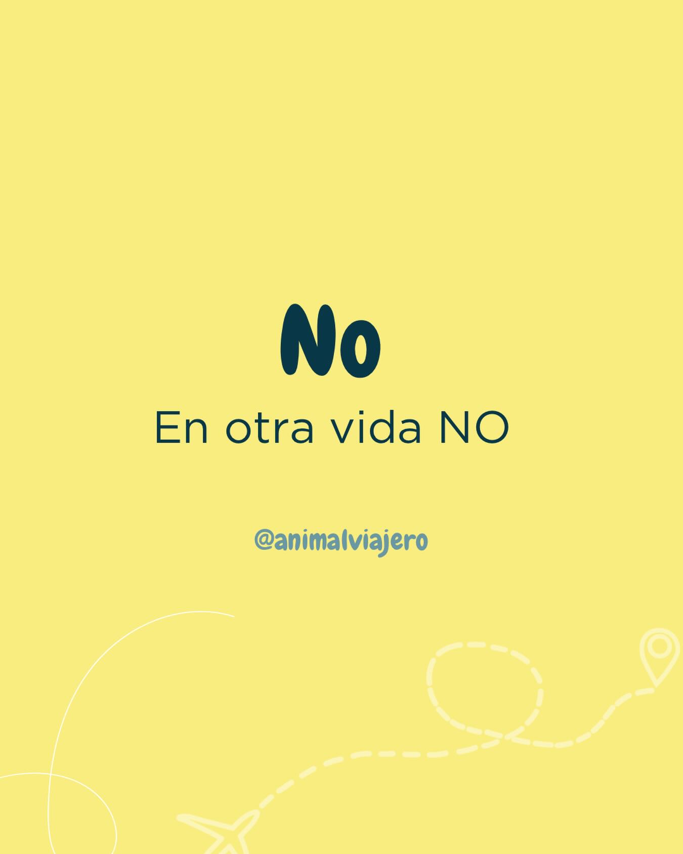 Porque al final, los mejores planes casi siempre empiezan diciendo:
“¿Y si nos vamos?” 🌍✨
#AnimalViajero #TravelMood #Wanderlust #Viajar #TravelLife