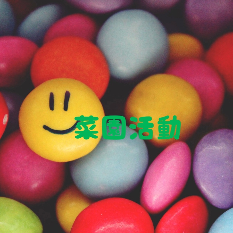 園庭は狭いが、食育活動の一環としての「菜園活動」を盛んに行っています。今年度は、じゃが芋を始めとして、かぼちゃ、おくら、ピーマン、絹さや、スナップエンドウの植付けをしました。じゃが芋は種芋を、かぼちゃは種のを栽培でしたが、早速じゃが芋とかぼちゃは発芽して楽しみな成長ぶりをみせてくれています。主に2歳児の子ども達が活動しています。
#仙台市若林区 #小規模保育園 #2歳 #食育活動 #菜園活動 #ジャガイモ #かぼちゃ #仙台市プレママ #若林区子育て #仙台育休中ママ #保育園見学 #2027年4月入園 #仙台保活