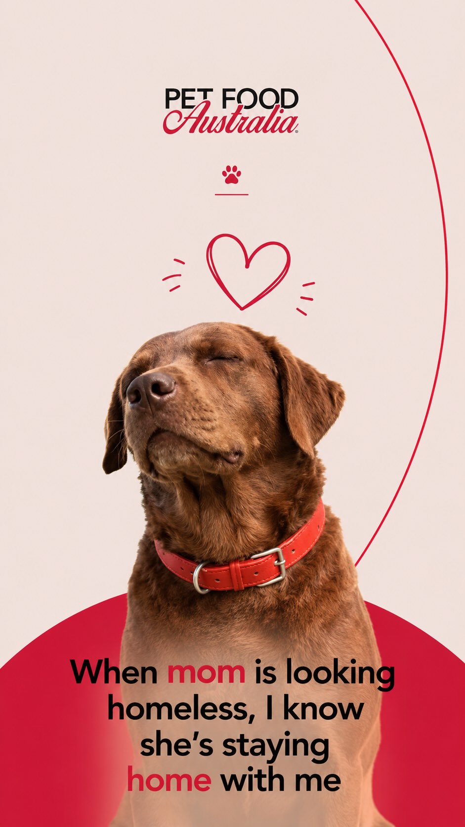Holiday mode activated ✨
No plans, no rush, just vibing and loving the break.
#PetFoodAustralia #DogFood #CatFood #DogNutrition #PremiumDogFood