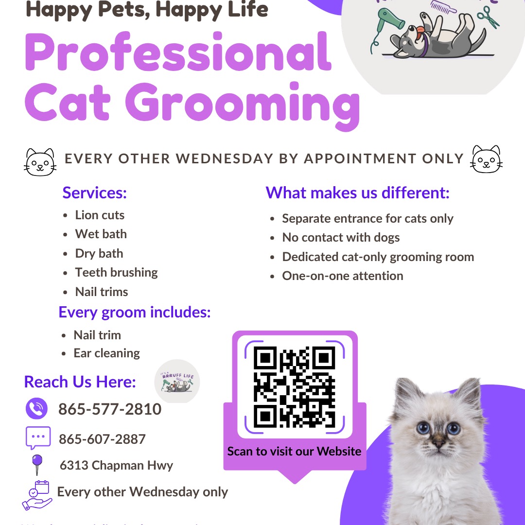🐱 Cat Grooming Appointments Available 🐱
We still have a few cat grooming spots available next Wednesday, May 27. Spots tend to fill quickly, so we recommend booking as soon as possible.
Our cat grooming appointments are scheduled in a quiet, separate area away from dogs to help create a calmer experience for your kitty 💗
Services available include:
✨ Lion cuts
✨ Baths (wet and dry)
✨ Nail trims
✨ Ear cleaning
✨ Teeth brushing
Please call us at 865-577-2810 to schedule your appointment 📞