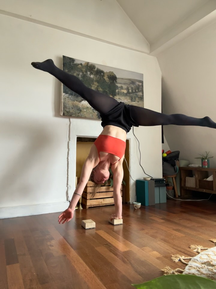 Perhaps some ideas on what to try if/once your handstands on the floor are steady 🪨
(- 1️⃣🤸 shifts to one arm - do any of the below before practicing towards one arms if you want to continue enjoy practicing handstands)
- 2️⃣⚖️try to balance on bosu ball (or other moving ground like paddle board etc):
To get feedback on balance habits (bias to front or back, how is the nature of my balance adjustments big and erratic? Small? Late? Etc and start gathering more data points which are otherwise hard to get unless you handstand on a person who then inevitably tells you
- 3️⃣🌊small shifts to left and right, understanding lengthening of the side body instead of bending before lifting (otherwise you collapse and hand standing will be very hard and prone to injury)
-4️⃣🟣use a prop like a block or ball and have someone put it between your thighs while handstanding. (Or start with headstand/shoulderstand/bridge pose etc to waken up inner thighs and integrity of legs. Will help a lot in the stability of your handstand. Getting feedback via a prop can be helpful in training the small muscles and drawing in and up which adds to increased stability
-5️⃣ ✋🏼🤚🏼hand placement variations. Narrow, wide, one up one down, on top of another. Play around. Start on floor before you add another layer such as height.