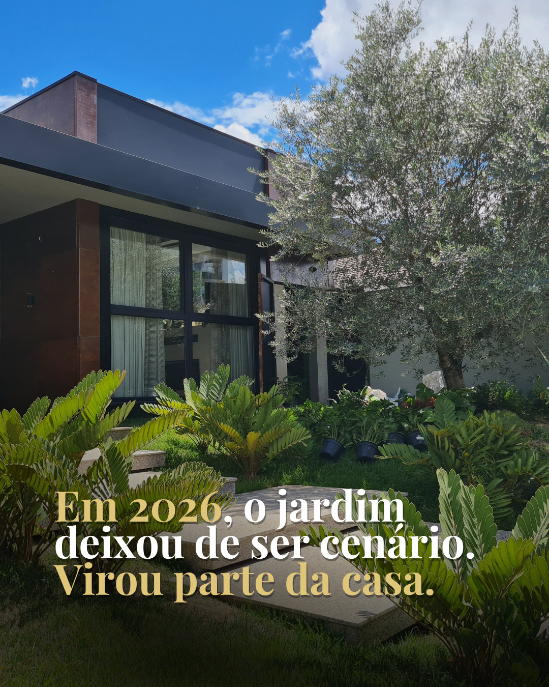 Seu jardim não é enfeite. É parte da sua casa.
Em 2026, a maior mudança no mundo das plantas não foi uma espécie nova nem uma técnica diferente.
Foi a forma como as pessoas passaram a enxergar o jardim não mais como algo para olhar de longe, mas como um lugar para realmente viver.
E a ciência confirma: 15 minutos em contato com plantas já reduzem o cortisol. Ambientes com verde têm 37% menos ansiedade. A produtividade aumenta 23% com plantas no espaço de trabalho.
Não importa se você tem um quintal enorme, uma varanda pequena ou só um cantinho na sala dá pra criar o seu refúgio verde onde você estiver.
💾 Salva esse post, você vai querer voltar aqui quando for montar o seu cantinho.