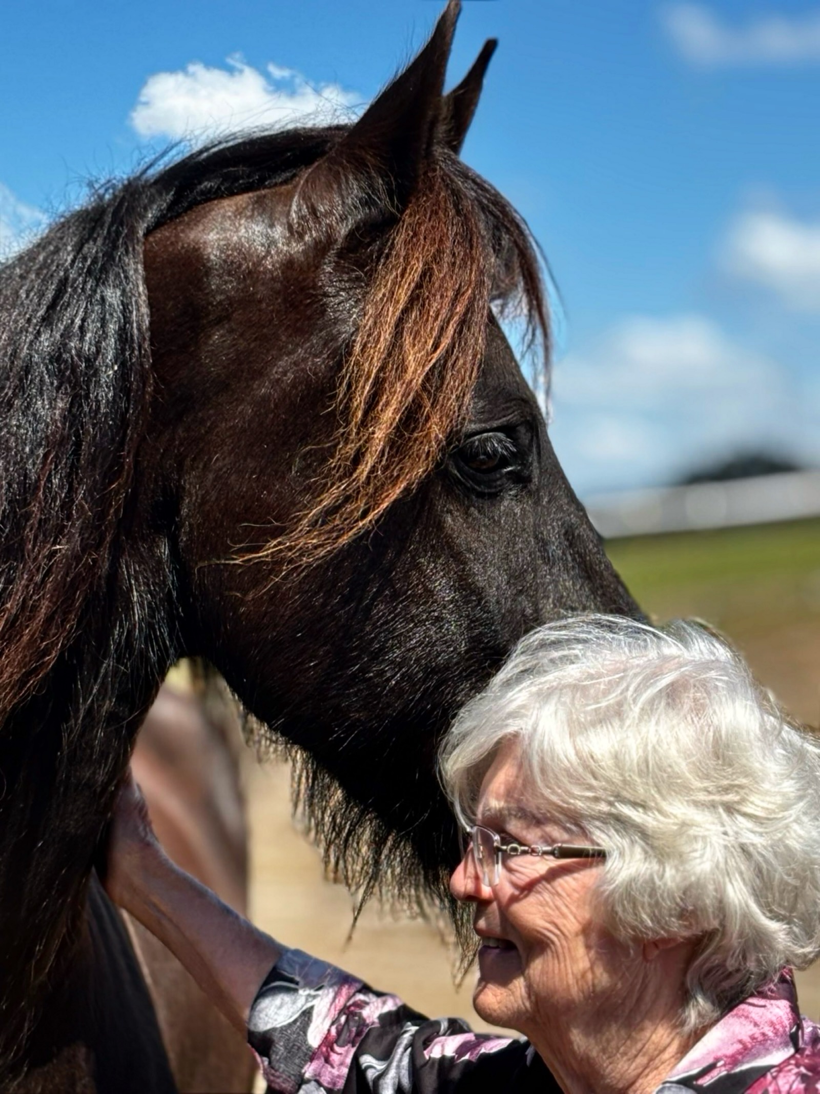 In the presence of a Friesian, walls fall silent.
She didnāt ask the horse for anything.
No performance. No perfection. No words.
She simply stood thereā¦present.
And somehow, the Friesian understood.
For a few quiet moments, the world disappeared.
No past. No pressure. No loneliness.
Just connection.
Pure, silent, alive.
#friesianhorses