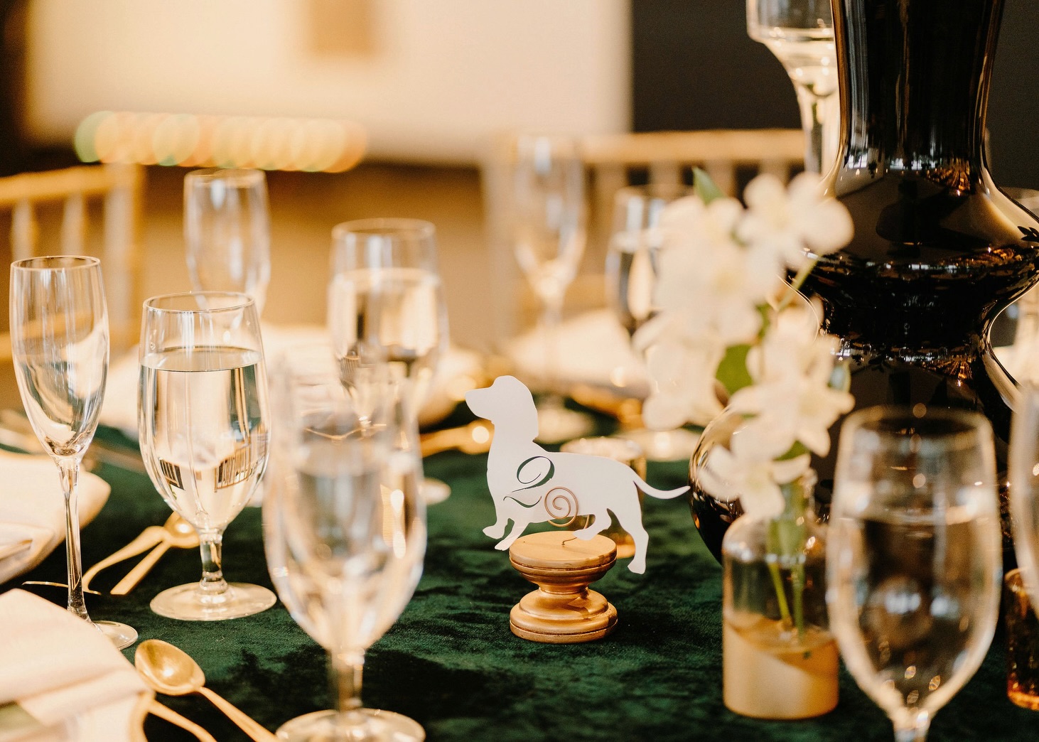 Si, un día hicimos números de mesa de perritos salchicha 😍 Por eso cada una boda es única si la llenas de detalles desde los números de mesa.
@wanderlusteventplanning