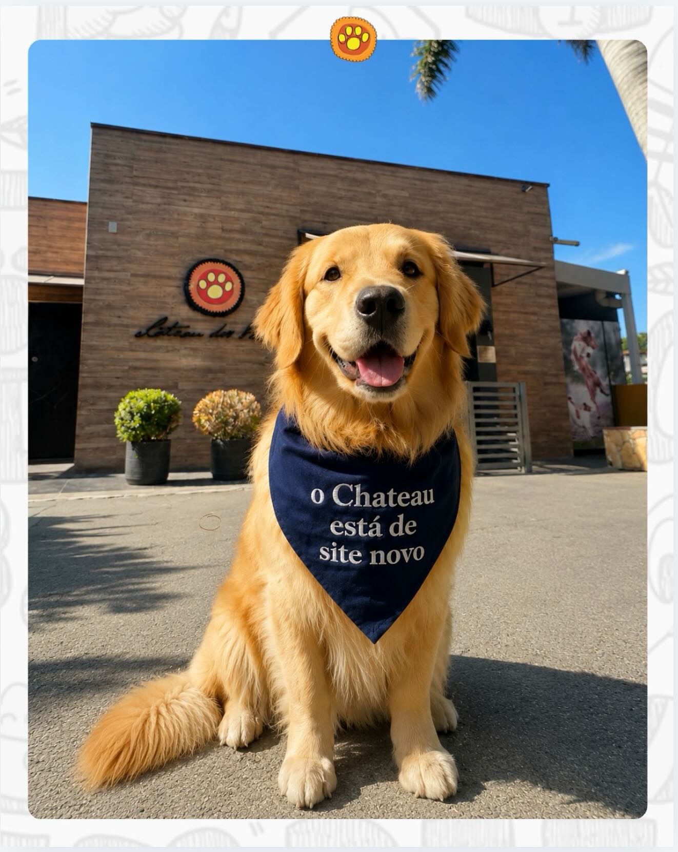 Corre nos stories pra ver o link e votar na enquete! 🐾🐾
.
#chateau_dos_bichos #chateaudosbichos #bemestaranimal #tudoporeles #novosite