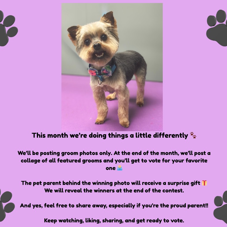 This month we’re doing things a little differently 🐾
We’ll be posting groom photos only. At the end of the month, we’ll post a collage of all featured grooms and you’ll get to vote for your favorite one 🗳️
The pet parent behind the winning photo will receive a surprise gift 🎁 We will reveal the winners at the end of the contest.
And yes, feel free to share away, especially if you're the proud parent!!
Keep watching, liking, sharing, and get ready to vote