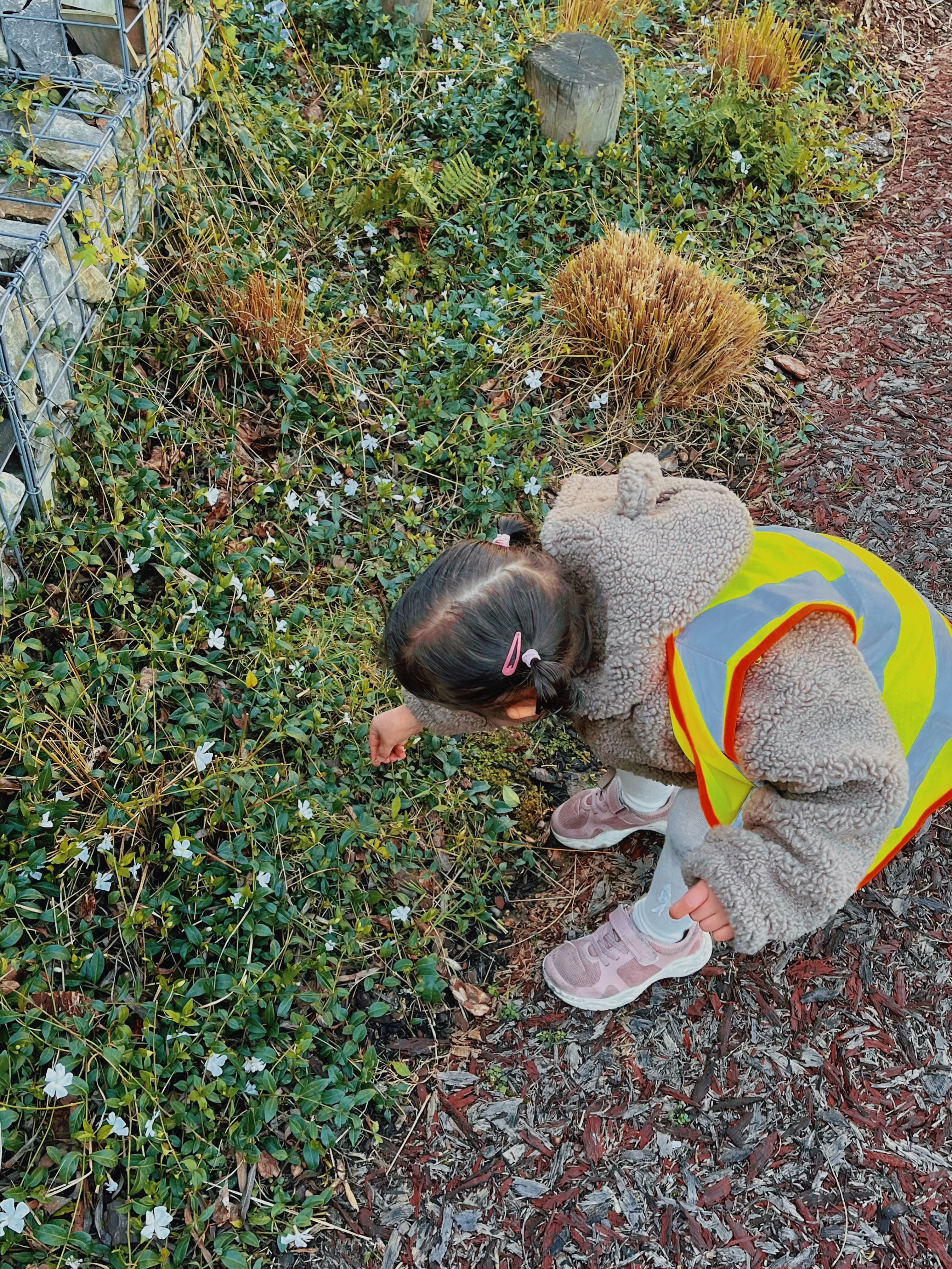 Exploring Nature 🌸🦋
During our walk, one of the children noticed butterflies exploring the flowers nearby, creating an opportunity to observe and investigate the natural environment.
Through experiences like this, children develop their awareness of living things and the world around them, while building curiosity, observation, and communication through outdoor exploration.
#LondonCityIsland #NurseryEastLondon #AmeliaHouseNursery