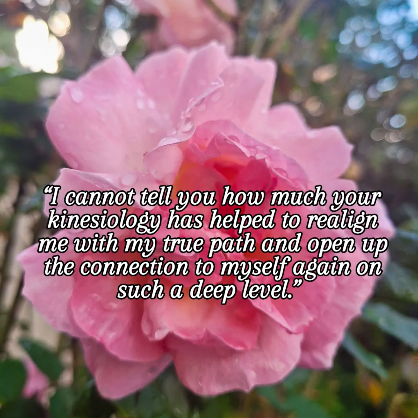 “I cannot tell you how much your kinesiology has helped to realign me with my true path and open up the connection to myself again on such a deep level.”
Messages like from my dear clients warm my heart 💗
To witness women reconnecting with themselves, trusting their inner knowing and finding the courage to walk a path that feels true to their heart is such a sacred thing.
So much love and gratitude for the beautiful souls who allow me to walk beside them on their healing journey 🙏
#HealingJourney #returntoyourmagnificence #holistichealth #healingfromtheinsideout #kinesiologybunbury