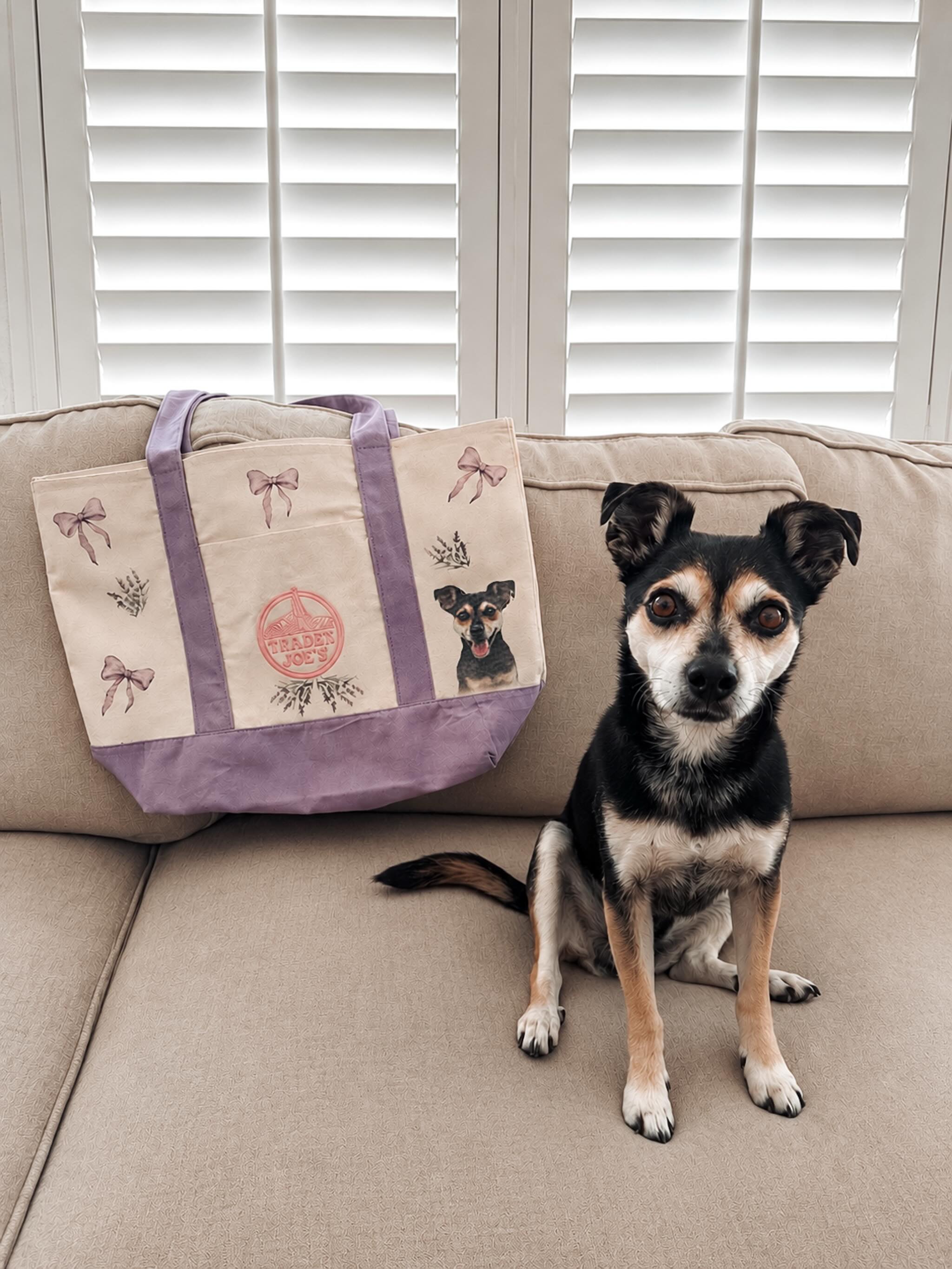 Just a pup on the most infamous totes currently circulating in America 😆
#traderjoes #traderjoesfinds #traderjoesmusthaves #traderjoesobsessed #fashionable