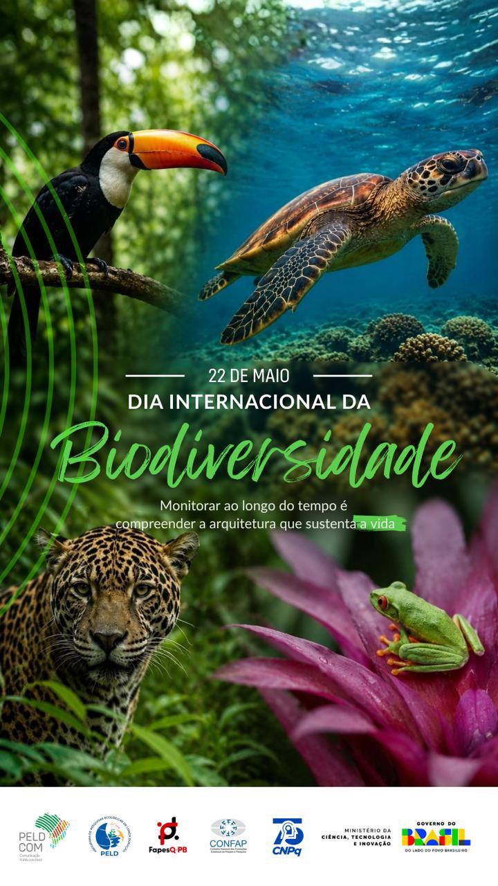 🗓️ Há 28 anos, o PELD monitora as mudanças na natureza para compreender os desafios do presente e do futuro.
Neste Dia Internacional da Biodiversidade, celebramos a importância da Pesquisa de Longa Duração para entender as transformações nos nossos ecossistemas, os impactos das mudanças climáticas e as relações entre sociedade e natureza.
🐆A biodiversidade sustenta a vida, regula o clima, protege as águas, produz alimento e conecta culturas, territórios e modos de existência. E compreender essa complexidade exige tempo, continuidade e compromisso com a ciência.
O PELD vem construindo conhecimento fundamental para o enfrentamento dos desafios socioambientais do nosso tempo — formando pesquisadores, monitorando ecossistemas e fortalecendo a compreensão pública sobre a importância da conservação da biodiversidade brasileira.
Porque proteger a biodiversidade também é proteger o futuro.
Neste vídeo, apresentamos um fragmento dessa história de 28 anos. 🌊🕸️🐝🌳
#biodiversidade #PELD #Peldcom #CNPq