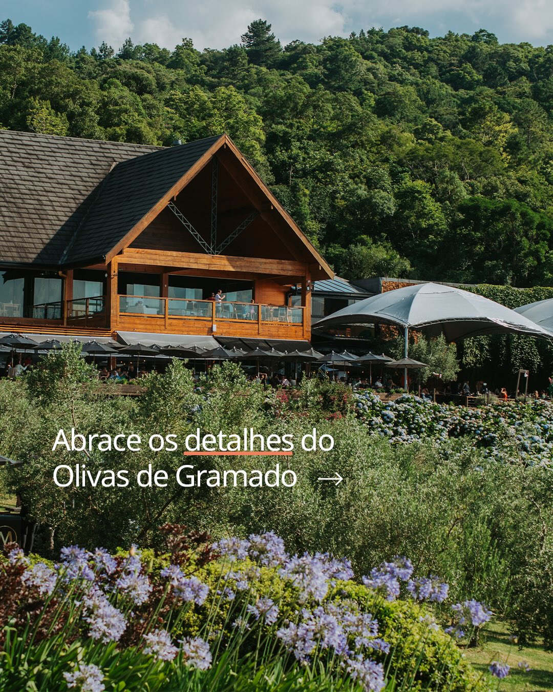 Horizontes abertos, olivais e um cenário que impressiona em cada ângulo.
No Olivas, a beleza está por todos os lados e em cada instante vivido por aqui. Vista privilegiada, natureza, gastronomia e experiências ao longo do dia.
Convidamos você para aproveitar cada detalhe deste lugar que surpreende do início ao fim.
Programe sua visita e venha conferir de perto.
#OlivasDeGramado #BelezaNatural #SerraGaucha #GramadoRS #VivaOBelo