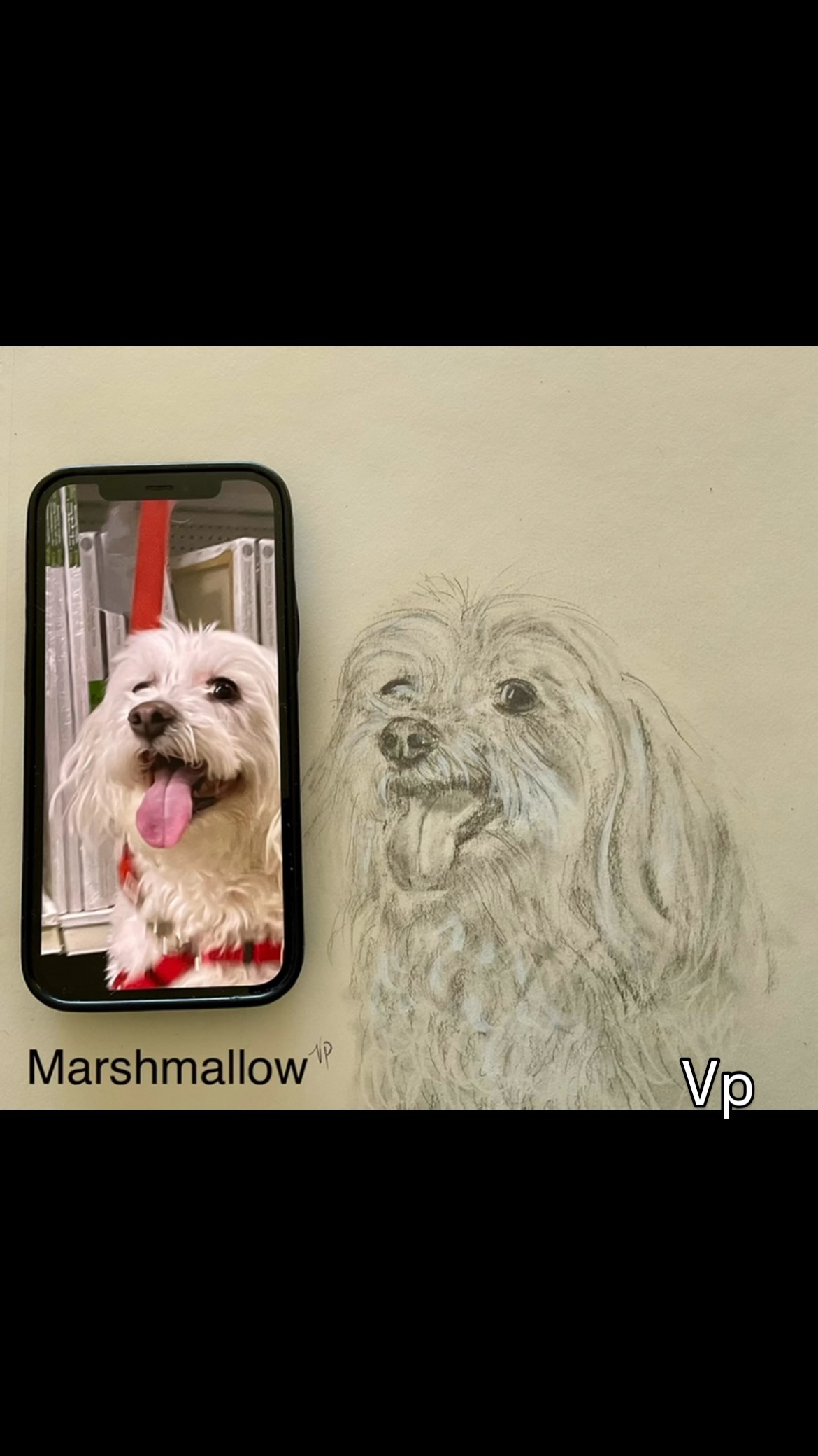 A quick rough sketch. This little dog showed up Nevada Fine Arts Museum while I was teaching a class. I couldn’t resist taking a photo. What do you think? #vpanimalportraitartist #tmccepic #nevadafinearts