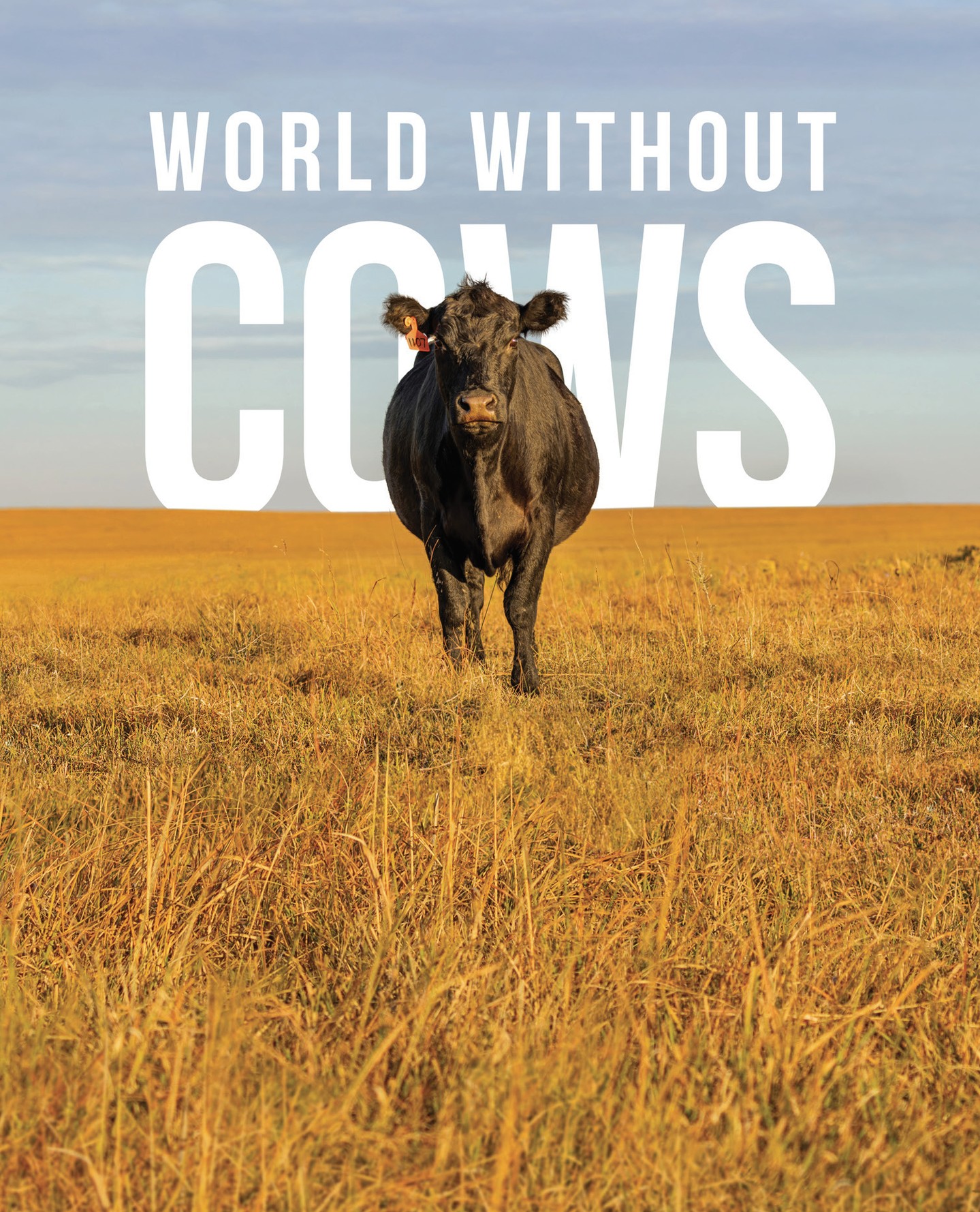 DON'T FORGET! Join us for a special FREE screening of World Without Cows on June 4 at Circle Theatre! This eye-opening documentary will be followed by a discussion panel that we will be apart of. Plus, enjoy free samples, free popcorn, and a complimentary drink while you watch!!
Seats are limited! Come out for a great night of conversation, community, and film 🐄
https://www.eventbrite.ca/e/1987702325162?aff=oddtdtcreator
#WorldWithoutCows #AllistonEvents #SheldonCreekDairy #FreeMovieNight #SupportLocalOntario