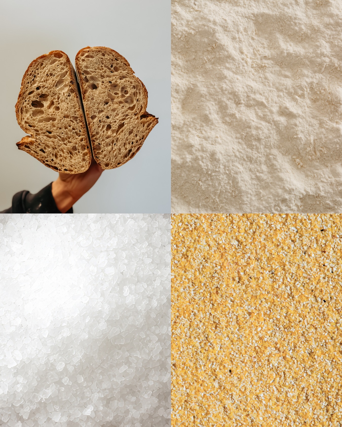 Red Fife flour.
Artisanal sea salt.
Open-pollinated Ohio cornmeal.
When every ingredient earns its place, you donāt need many of them. #mediterrabakehouse #artisanbread
