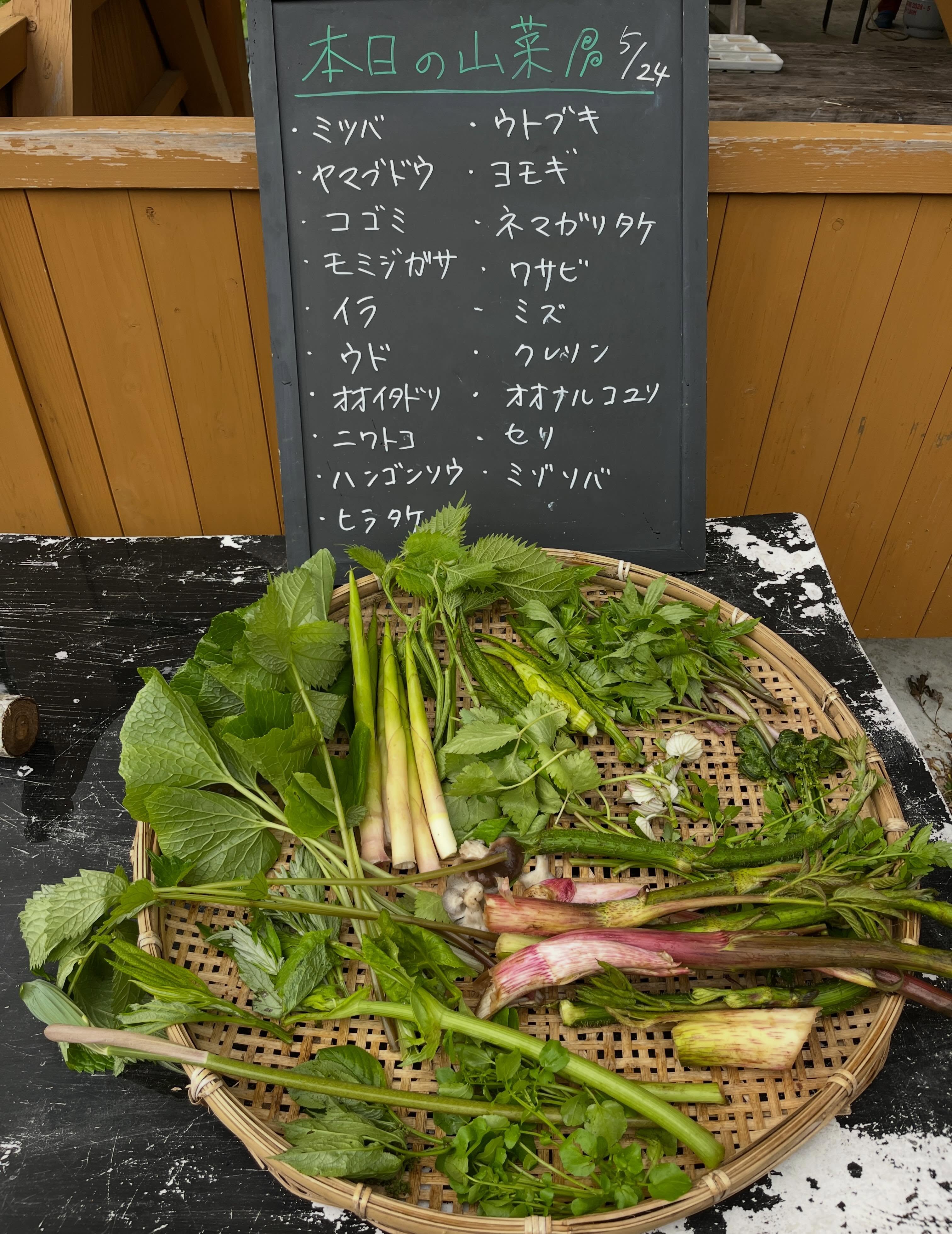 本日も山菜狩りツアーにご参加いただきありがとうございました😊
気がつけばツアーをスタートして1ヶ月が経ち、いよいよ終盤戦となってきました。今日も20種類近くのたくさんの種類の山菜が採れていますが、ここから種類は少しずつ減っていきそうです。
しかし、ここからは豪雪地域が誇る山菜の王様『ネマガリタケ』のシーズンでもあり、まだまだ美味しい山菜に出会えます!
他にも、ファンが非常に多い『ウド』もまだ採取でき、涼しい水辺も『ミズ』、『ワサビ』、『クレソン』、『セリ』など人気山菜で賑やかです。
また、フジ、ウツギ、ミズキ、トチ、ホウなど、樹木たちのダイナミックな花々が咲き誇っていて、色鮮やかな風景に癒されます🌸
引き続きみなさまのご参加をお待ちしております😃