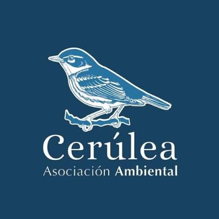 Conservation is central to Flyway Birding Tours. We now include a direct conservation donation from our tour groups to Cerúlea Environmental Association, a Costa Rican nonprofit dedicated to biodiversity conservation, restoration, education, and habitat protection.
By joining our tours, guests help support efforts to protect Costa Rica’s forests, wildlife, and natural landscapes.
Watch the video to learn more about Cerúlea’s work and ways to support conservation or go to the following link:
https://www.cerulea.org/fundraising
https://youtu.be/wSc_64S8wbE?si=LErpZ5D40sgcLzni
Explore • Learn • Connect
Flyway Birding Tours