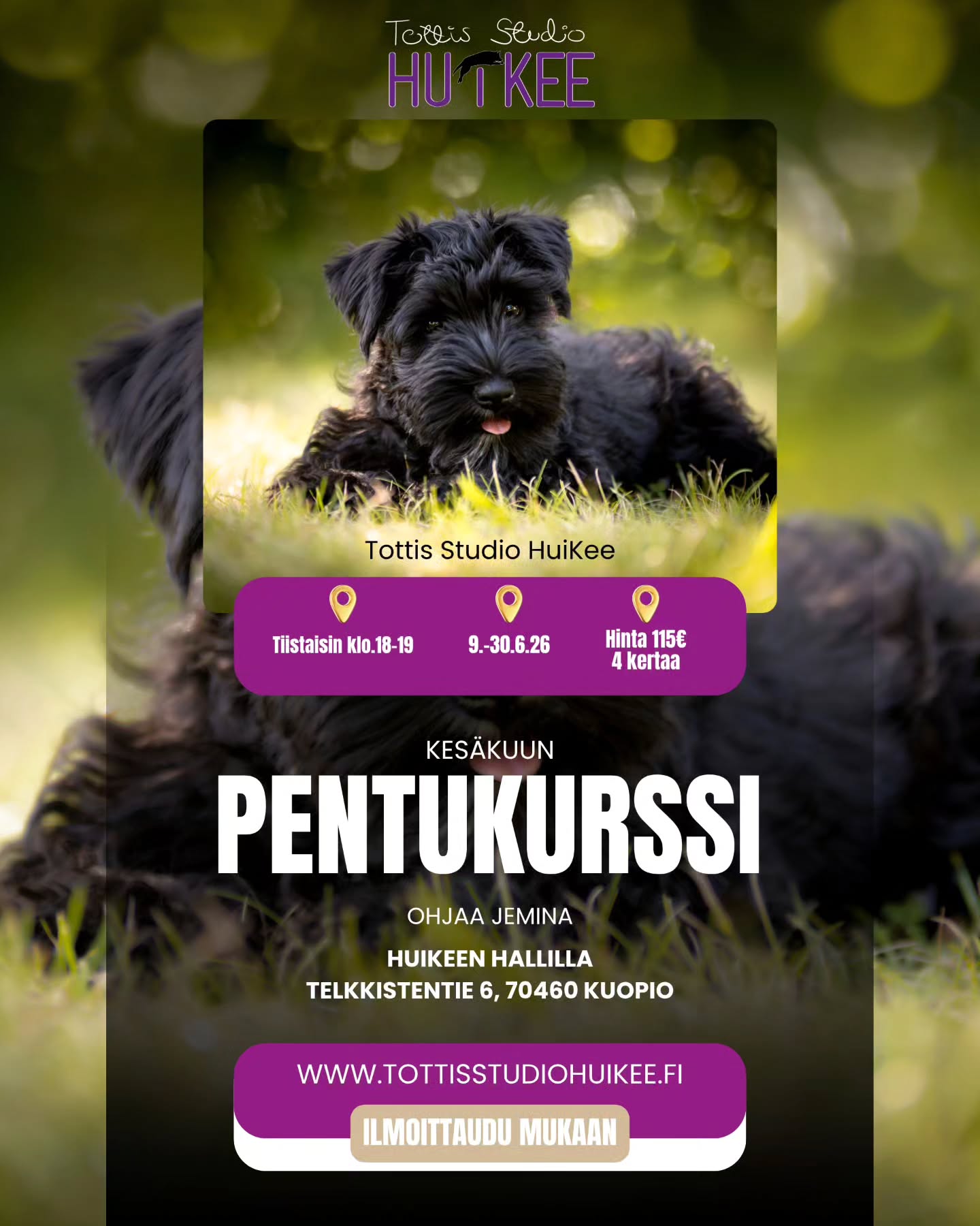 🌸 HuiKeen kesäkuun Pentukurssit 🌸
Haluatko sujuvamman arjen ja paremman yhteyden pentuusi? 💜
Tällä kurssilla rakennetaan vahva perusta:
✨ Perustottelevaisuus
✨ Kontakti ja yhteistyö
✨ Arjen tärkeät taidot
Sopii 4–12 kk pennuille – jatkoksi PentuEskarille tai ensimmäiseksi kurssiksi!
Pieni ryhmä → enemmän ohjausta juuri teille 🐶
KESÄKUUSSA ALKAA
🌸 Tiistaisin klo.18-19
🌸 9.-30.6.2026, 4 kertaa
🌸 Hinta 115€
🌸 Ohjaaja Jemina @koirapalvelulojaali
Ilmoittadu tästä mukaan; https://slotti.fi/booking/tottisstudiohuikeeoy/#/
Aloita yhteinen matka kohti tasapainoista ja iloista arkea ✨
#koirat #kuopio #koirakoulu #koirankoulutus