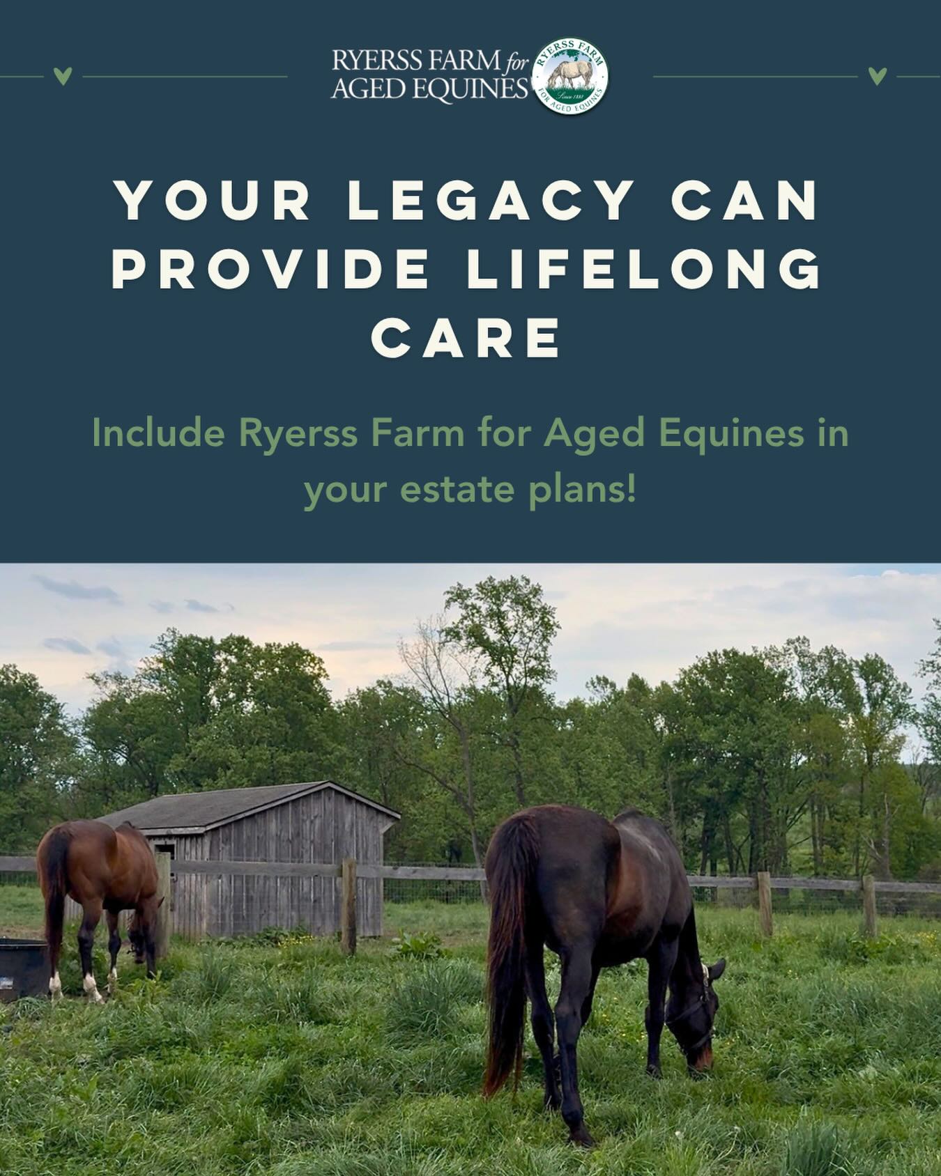 Your legacy can provide lifelong care! 🐴💚 Include Ryerss Farm for Aged Equines in your estate plans to support our aged, abused, and injured horses. A planned gift, such as a bequest or beneficiary designation, helps ensure our residents remain safe and protected for years to come.
If you have already included us in your plans, we sincerely thank you. We would be honored to recognize your generosity through our Legacy Society, with anonymous recognition always available.
Click the link in our bio to learn more!