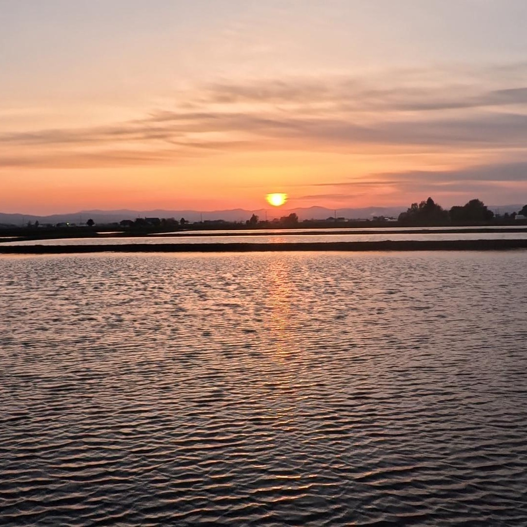 田んぼの彼方に沈む夕日に癒されるひとときは、特別なものになります✨
田んぼの水面に輝く夕日は、まるで絵画のように美しく、心に残る光景です🌇
お風呂の窓から眺める美しい夕日は、よりリラックスさせてくれます🛀
自然と向き合い、心を解放するひとときを過ごしてみてください😊
#LeLien #東川 #コテージ #夕日 #犬