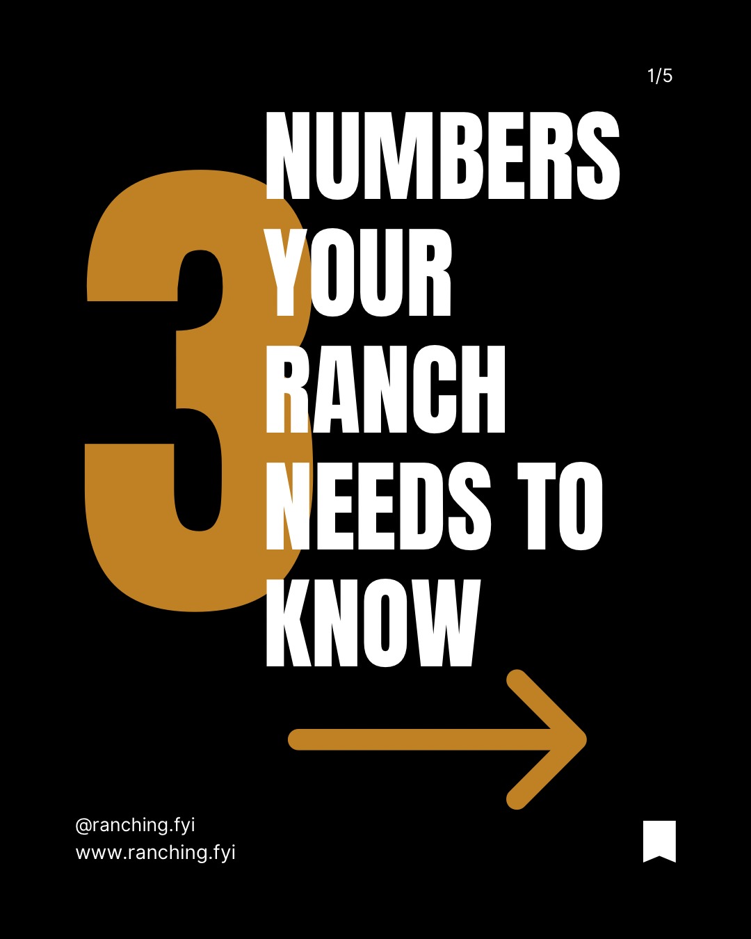 Swipe through—to see 3 numbers your ranch needs to know
Most operations are buried in data…
and still don’t know what actually matters.
Start here:
Three numbers that cut through the noise and tell you if your decisions are paying you… or just keeping you busy.
Which one do you know confidently right now? Drop it below 👇
Follow @Ranching.FYI if you’re ready to stop guessing your numbers—and start using them to make better decisions.
#ranchingfyi #sim2win #sellbuy #ranchingbusiness #decisionmaking