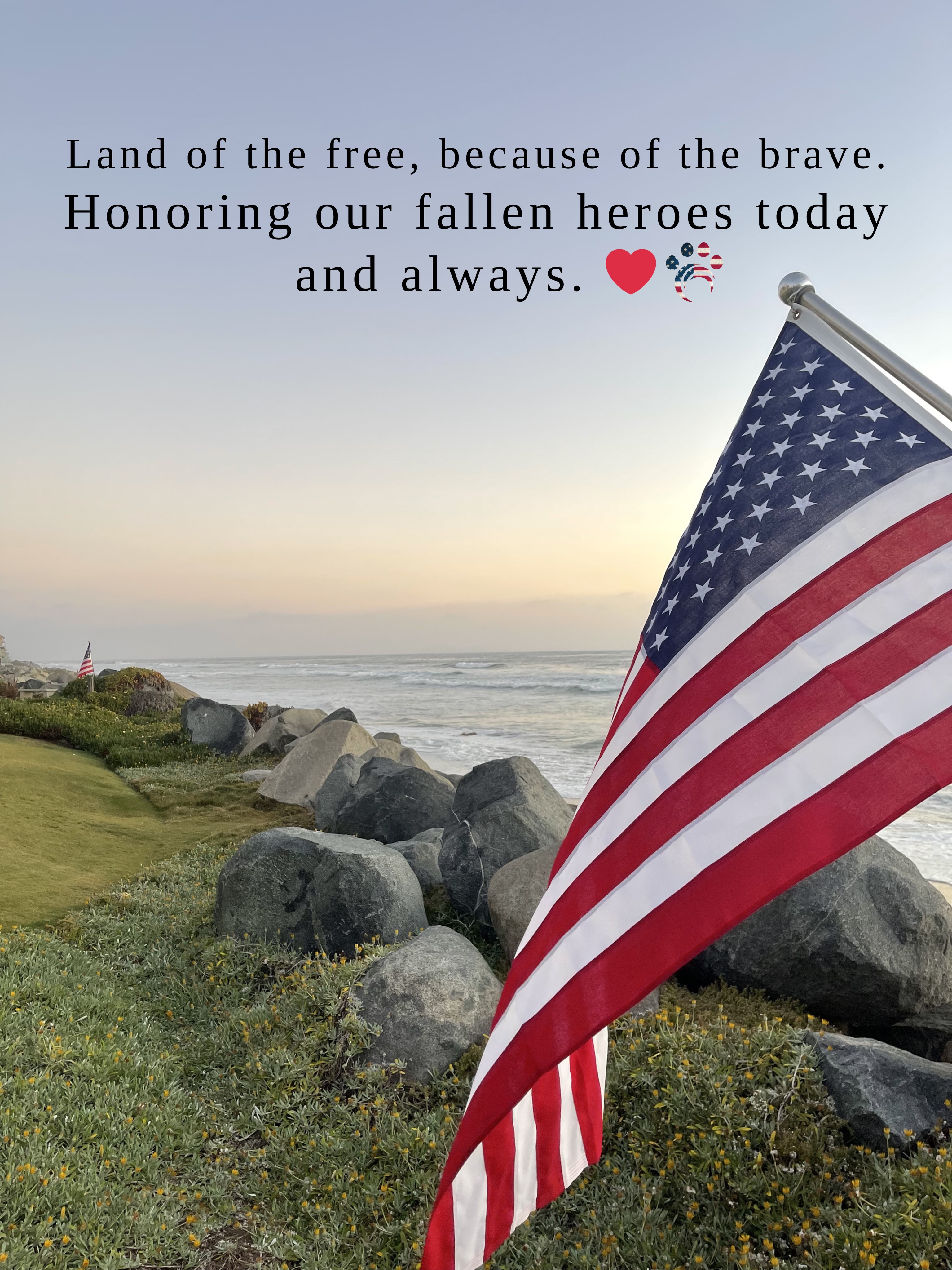 From our IB Pet family to yours, we honor and remember the brave men and women who made the ultimate sacrifice for our country. 🇺🇸❤️