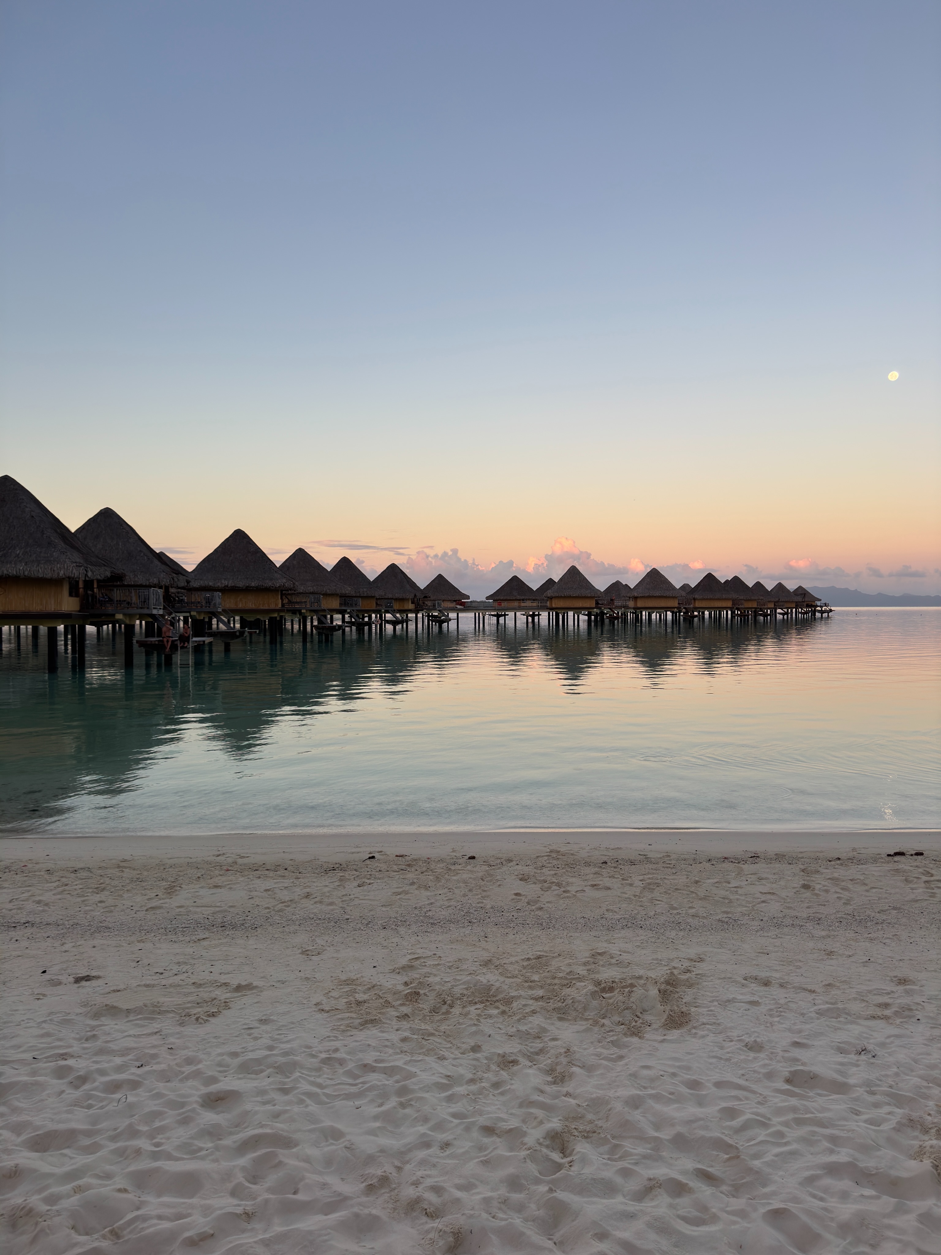 🏝️ Bora-Bora, rien que le nom en fait rêver plus d’un !
Au programme : Excursion dans le lagon avec raies, poisson pierre, dauphins … petite pétanque au logement, des vues à couper le souffle et une eau toujours plus belle et transparente !
#borabora #polynésie #poissonpierre #piloti