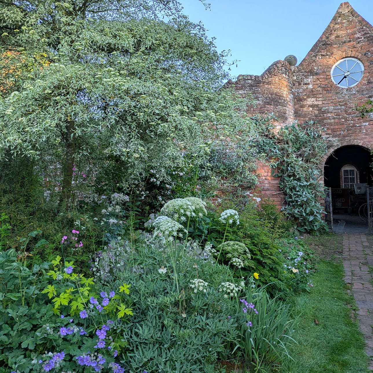 1.Laserpitium siler
2.Dictamnus albus var. purpureus, Sophora davidii and Euphorbia 'Valerie Finnis'
4. Deutzia x elegantissima 'Rosealind' in front of Rhaphiolepis umbellata