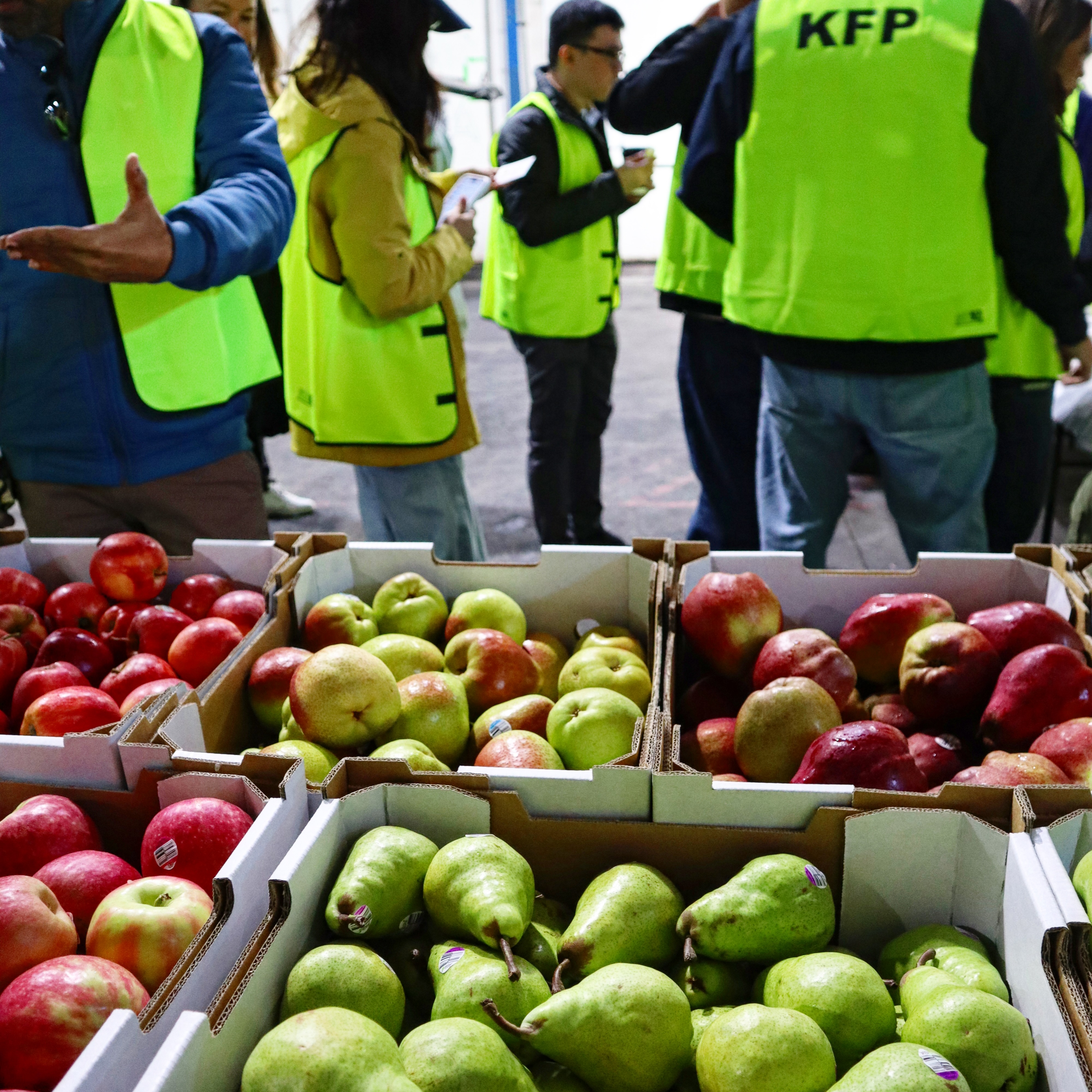 Big thank you to APAL for hosting the Horticulture Trade Mission during the week! We met with some great businesses and built some great connections. We loved showcasing our fruit and showing everyone around our facilities🍐🍎 #fruitgrower #australia #export #aussiefarmers